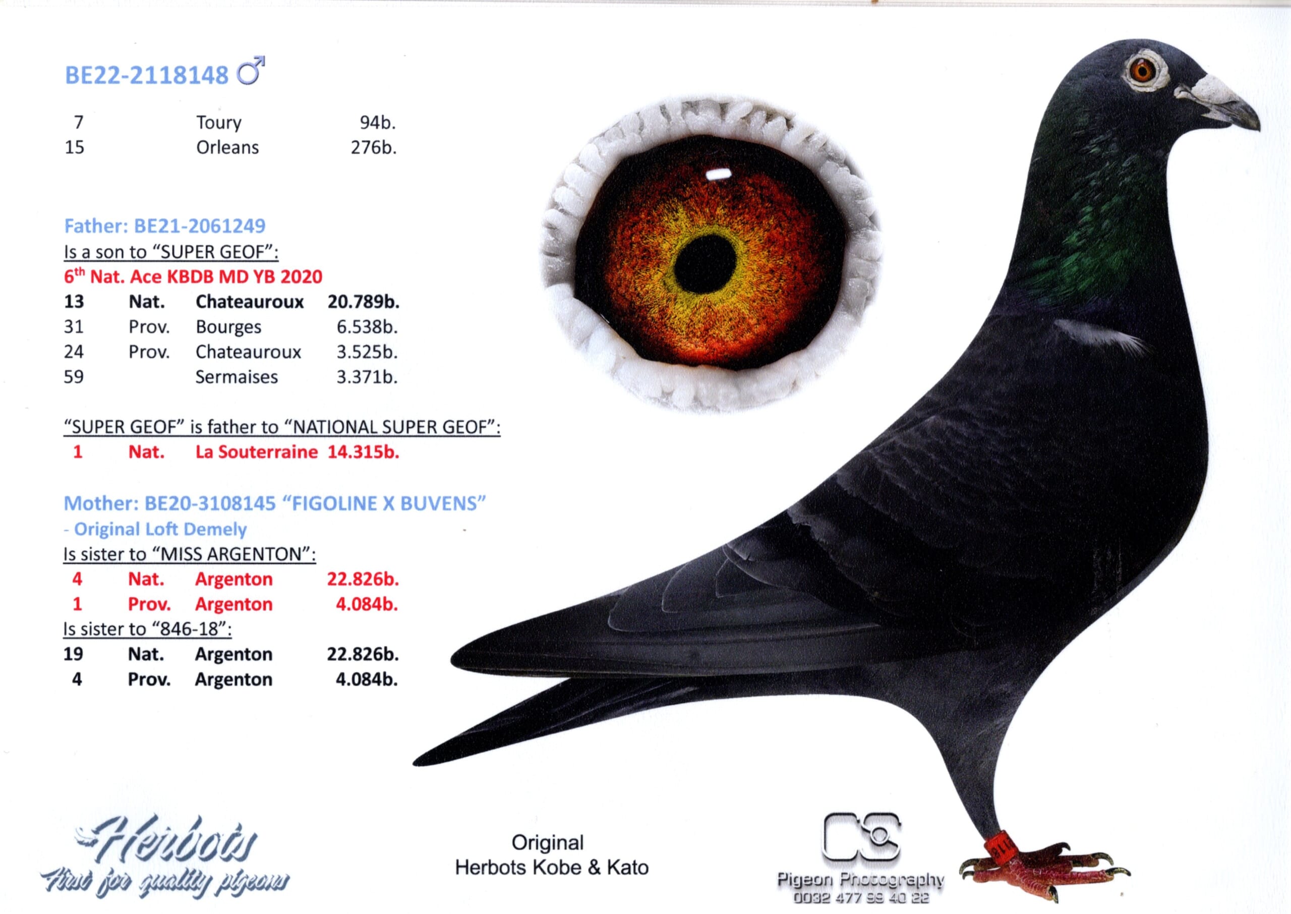 Herbots Kobe&Kato BE 2118148-22 売切れ