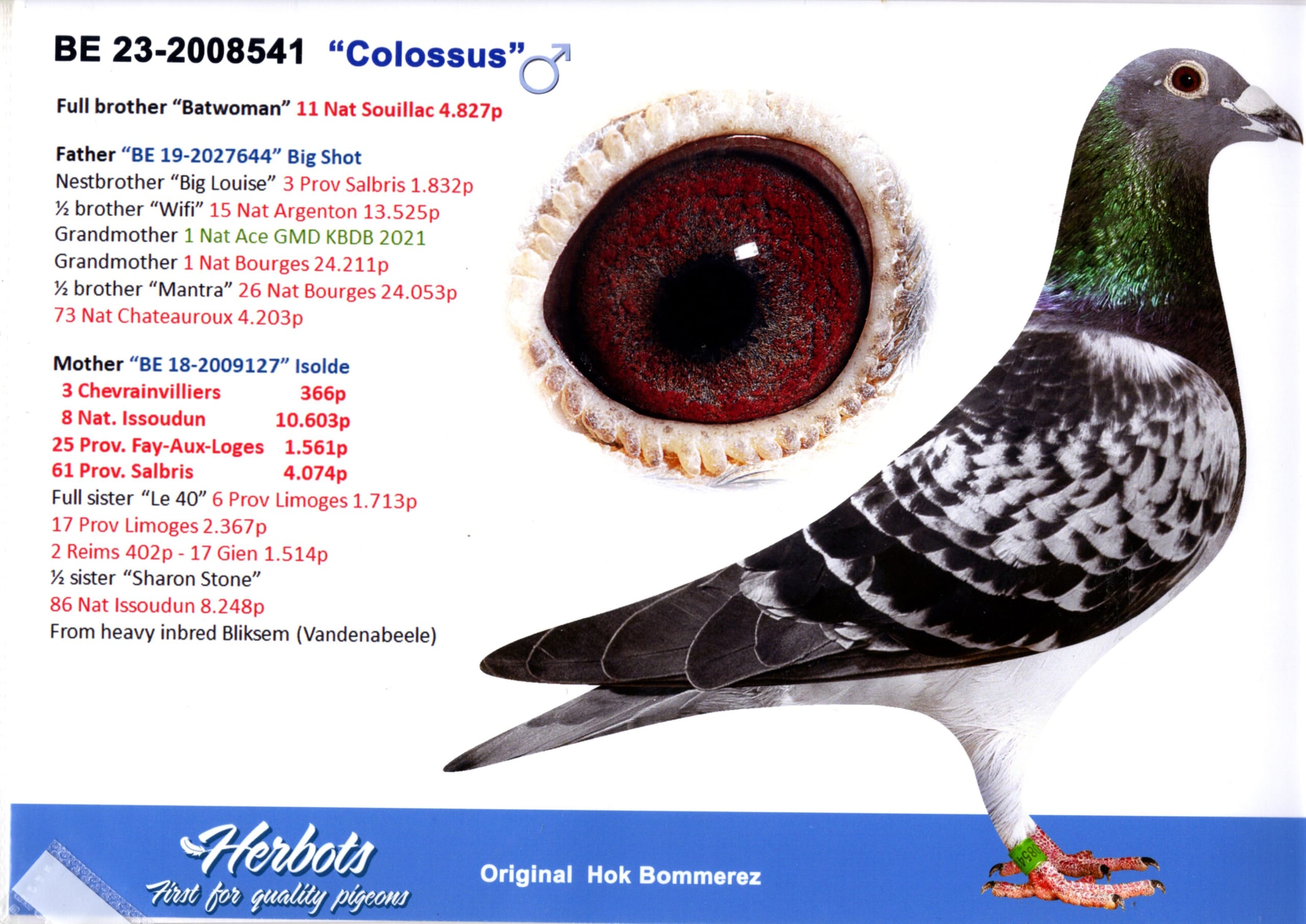 Bommerez BE 2008541-23 売切れ