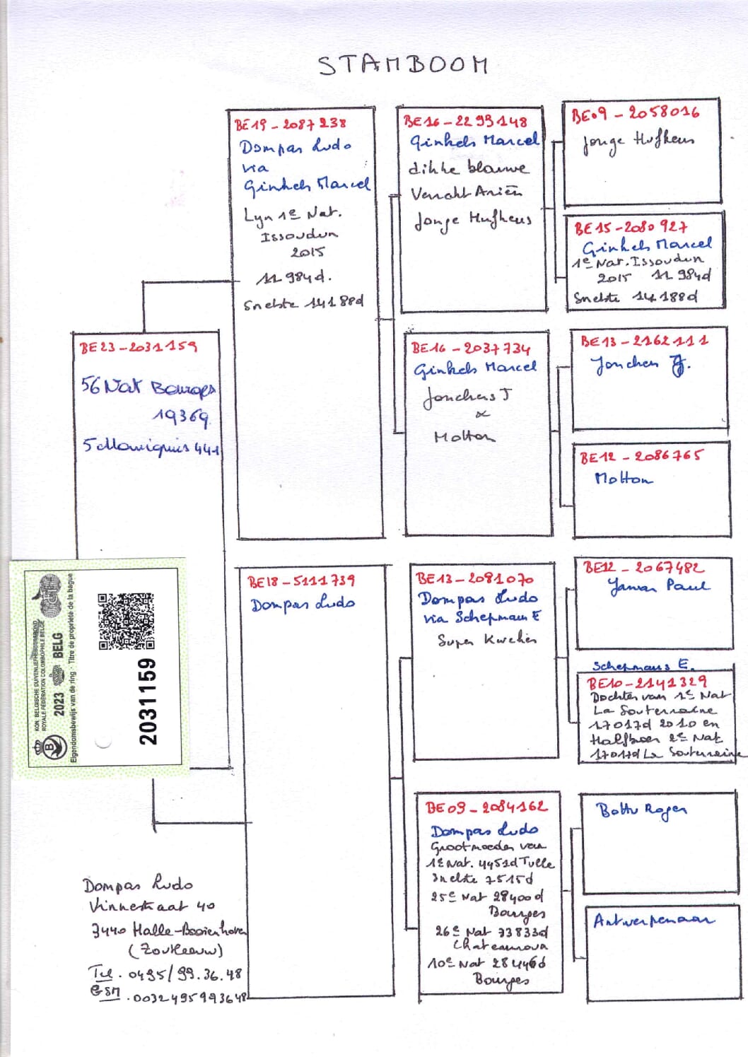 Dompas Ludo BE 2031159-23 売切れ - 画像 (2)