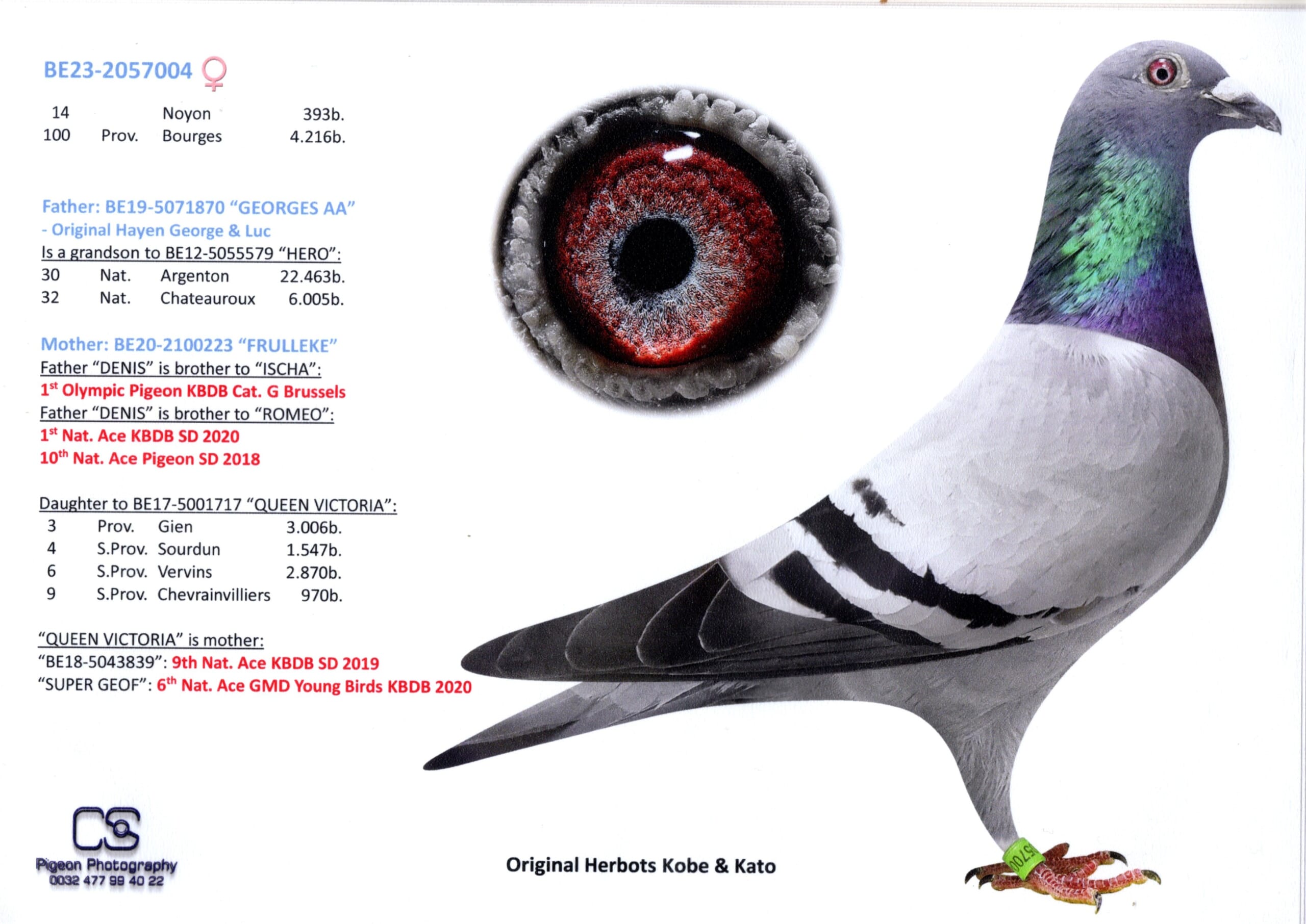 Herbots Kobe&Kato BE 2057004-23