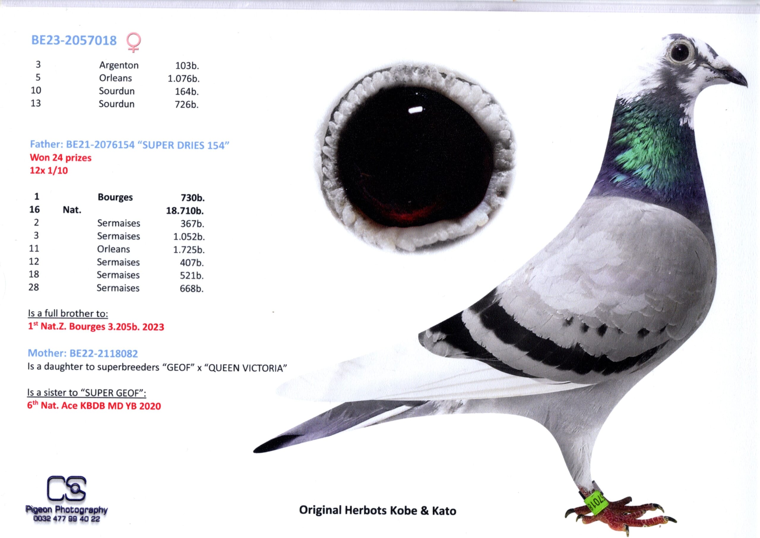 Herbots Kobe&Kato BE 2057018-23 売切れ