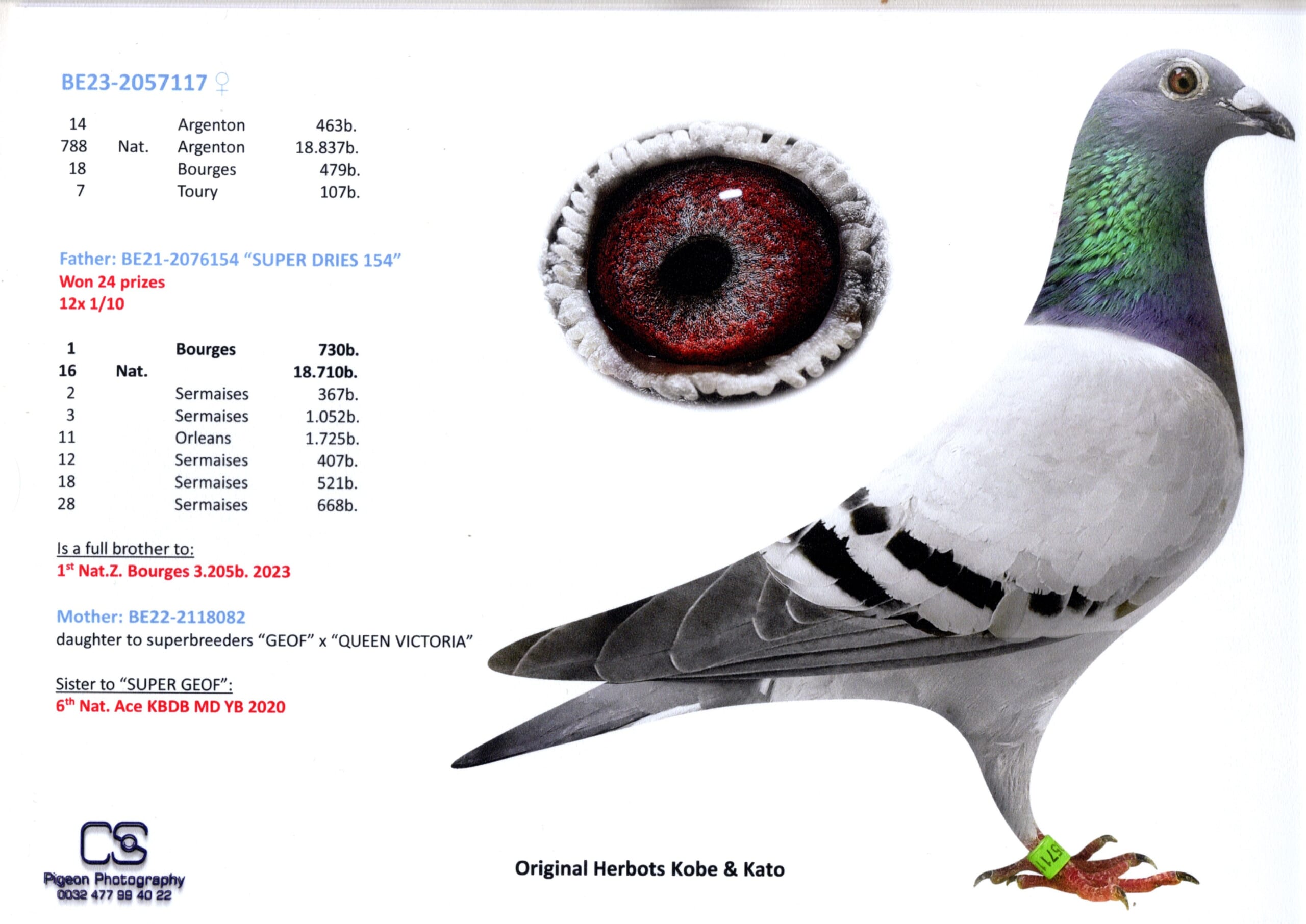 Herbots Kobe&Kato BE 2057117-23