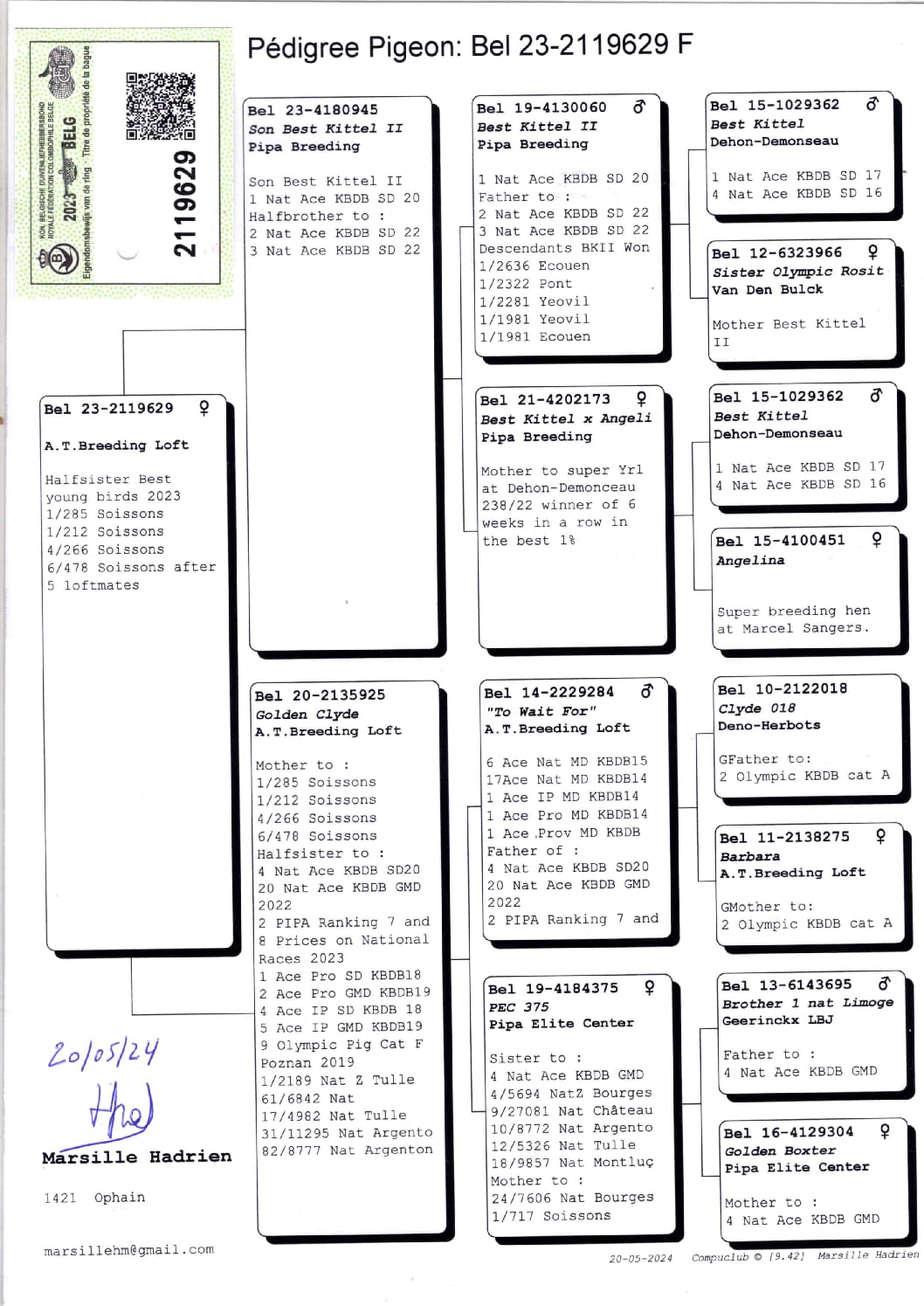 Marsille BE 2119629-23 売切れ - 画像 (2)