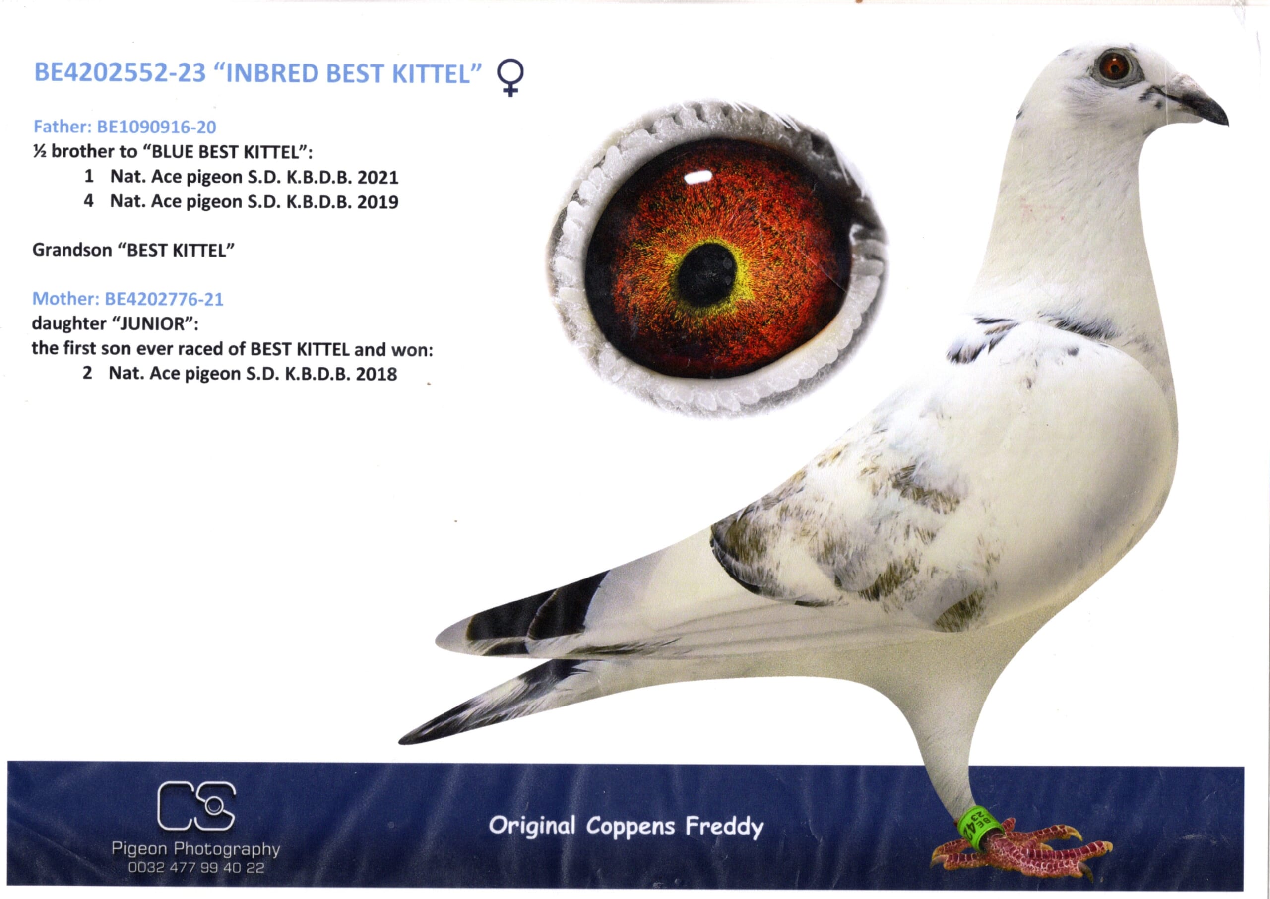 Coppens BE 4202552-23 売切れ