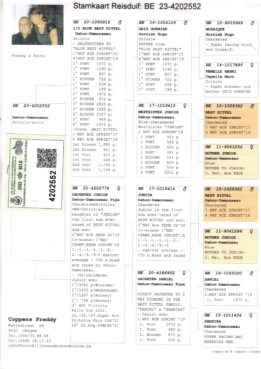 Coppens BE 4202552-23 売切れ - 画像 (2)