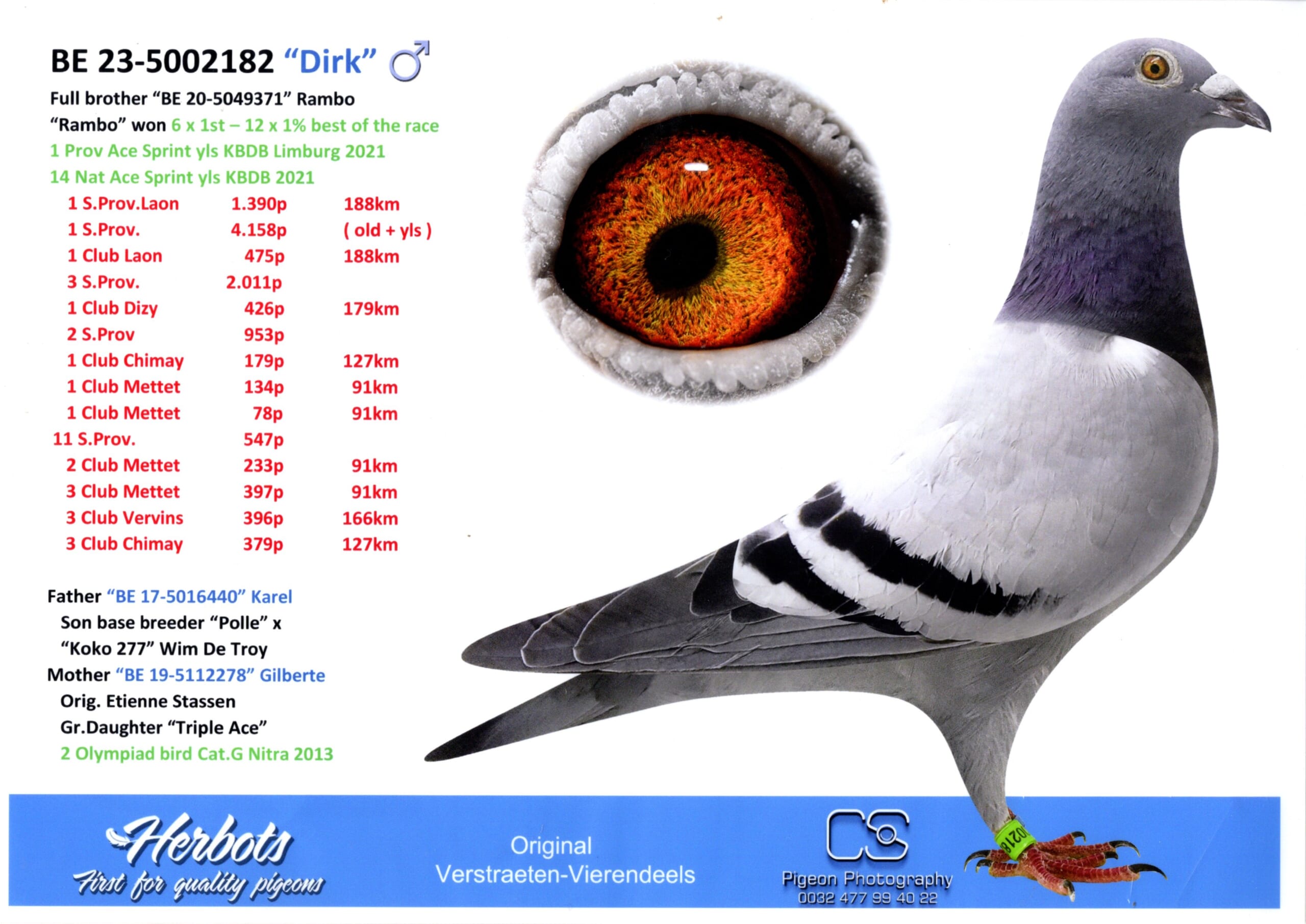 Vierendeels BE 5002182-23 売切れ