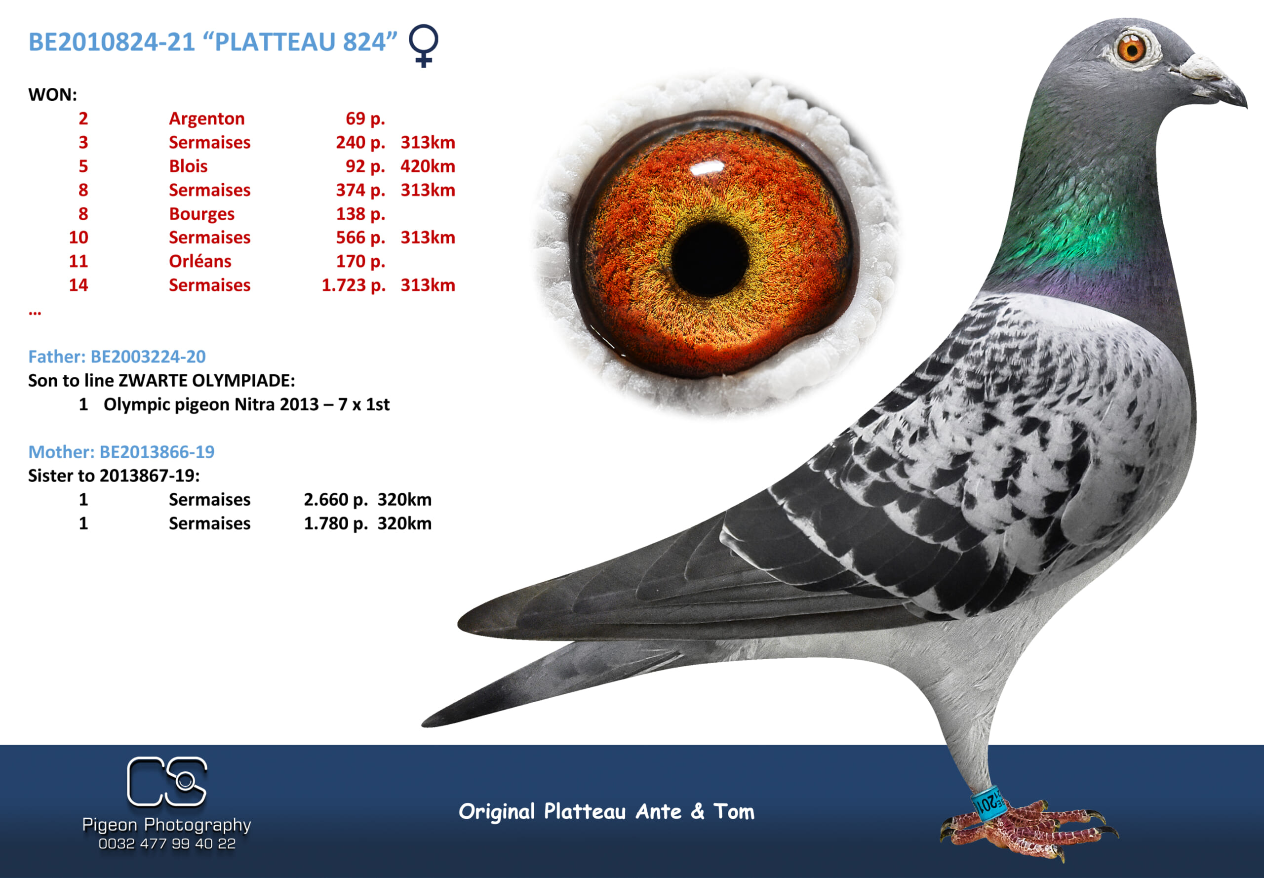 PLATTEAU Ante & Tom 2010824-21