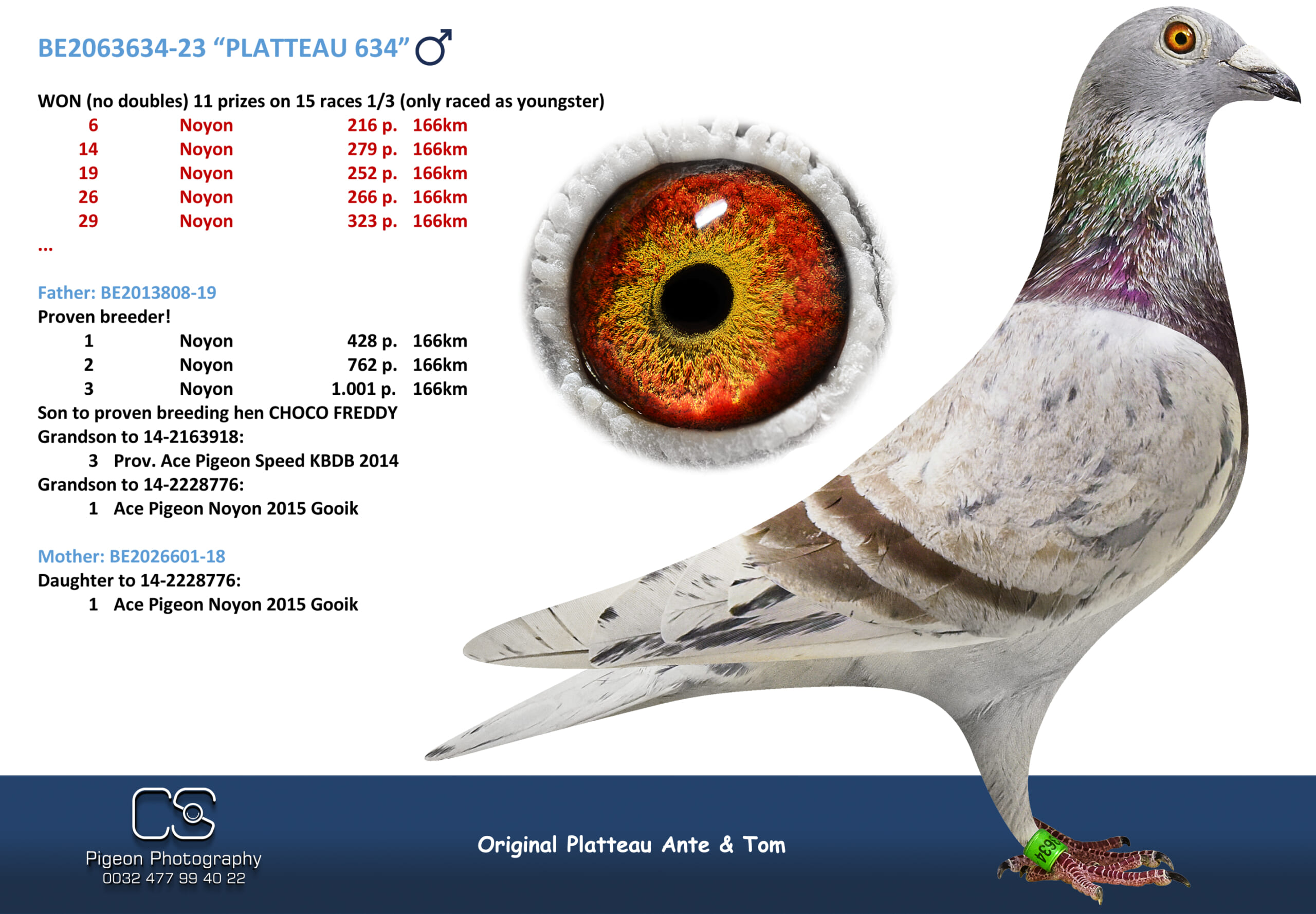 PLATTEAU Ante & Tom 2063634-23