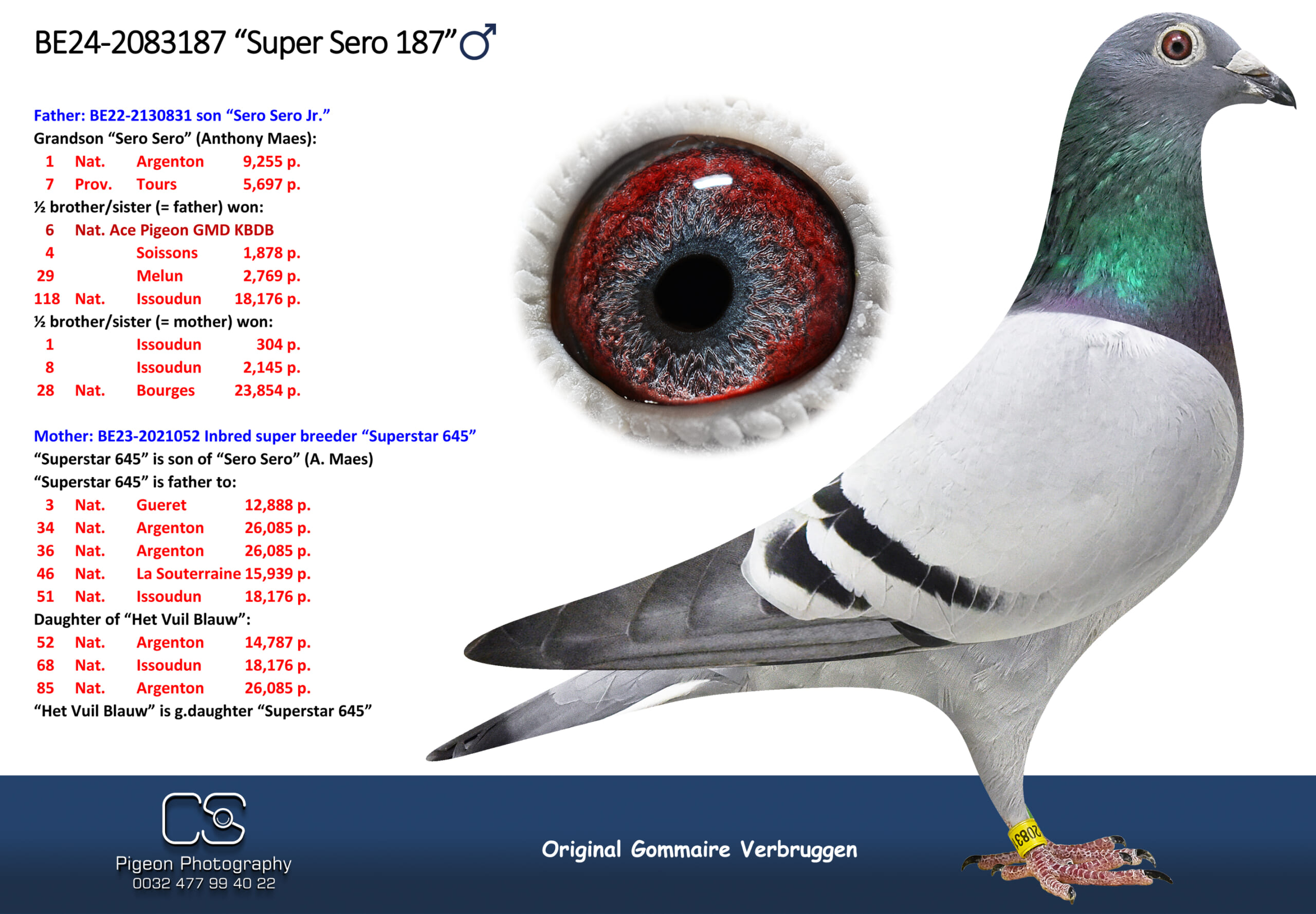 ゴメール・フェルブルッゲン 2083187-24