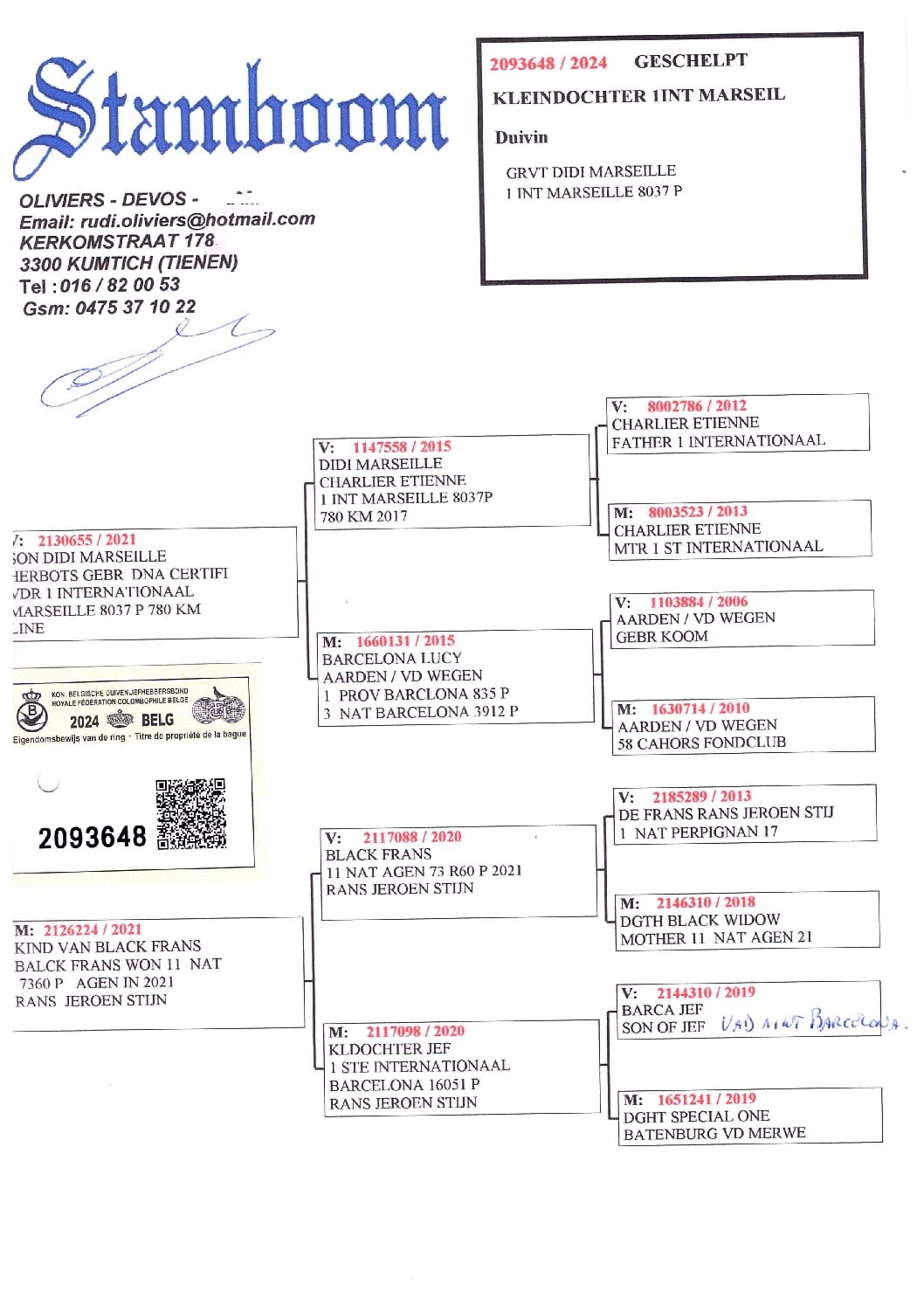 Oliviers Devos 2093648-24 北野鳩舎種鳩 - 画像 (2)