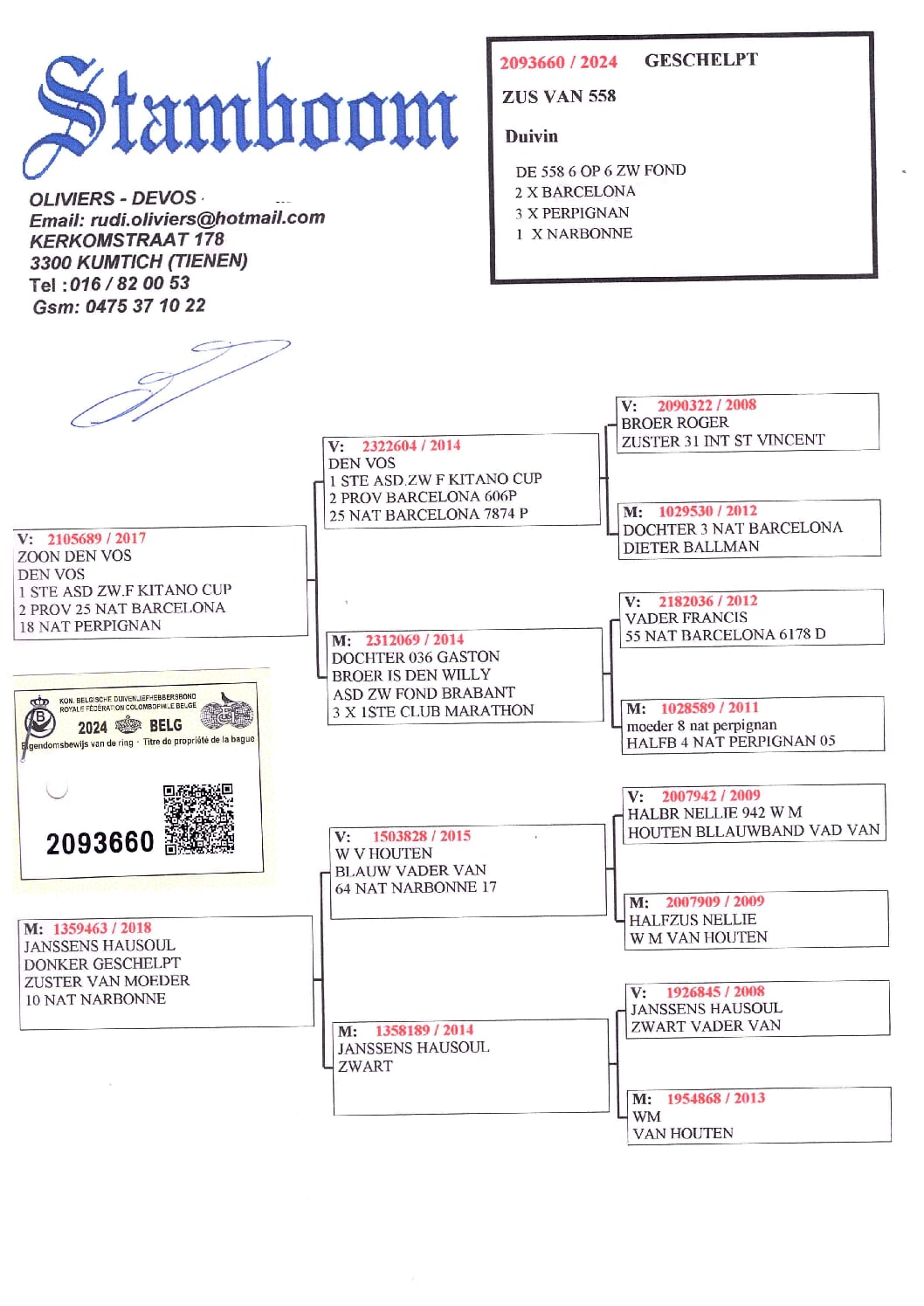 Oliviers Devos 2093660-24 - 画像 (2)