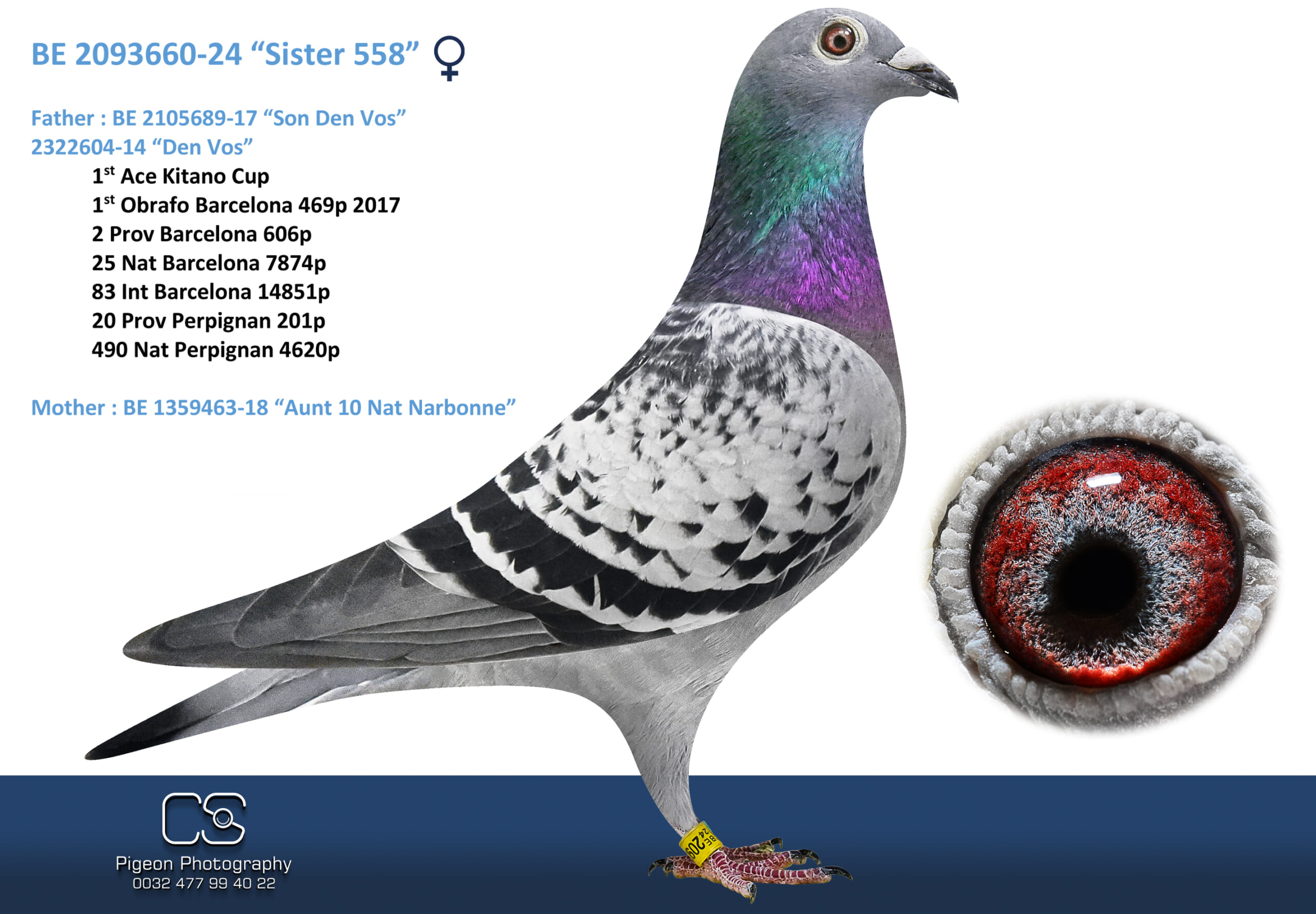 Oliviers Devos 2093660-24