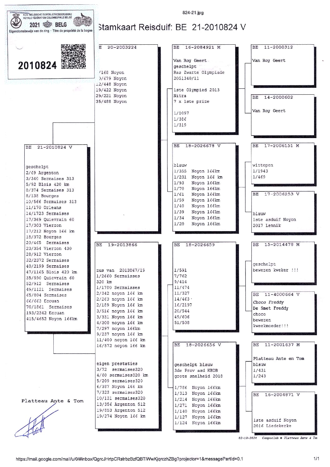 PLATTEAU Ante & Tom 2010824-21 - 画像 (2)