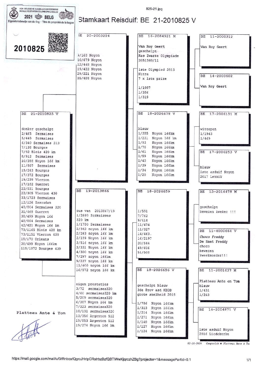 PLATTEAU Ante & Tom 2010825-21 売切れ - 画像 (2)