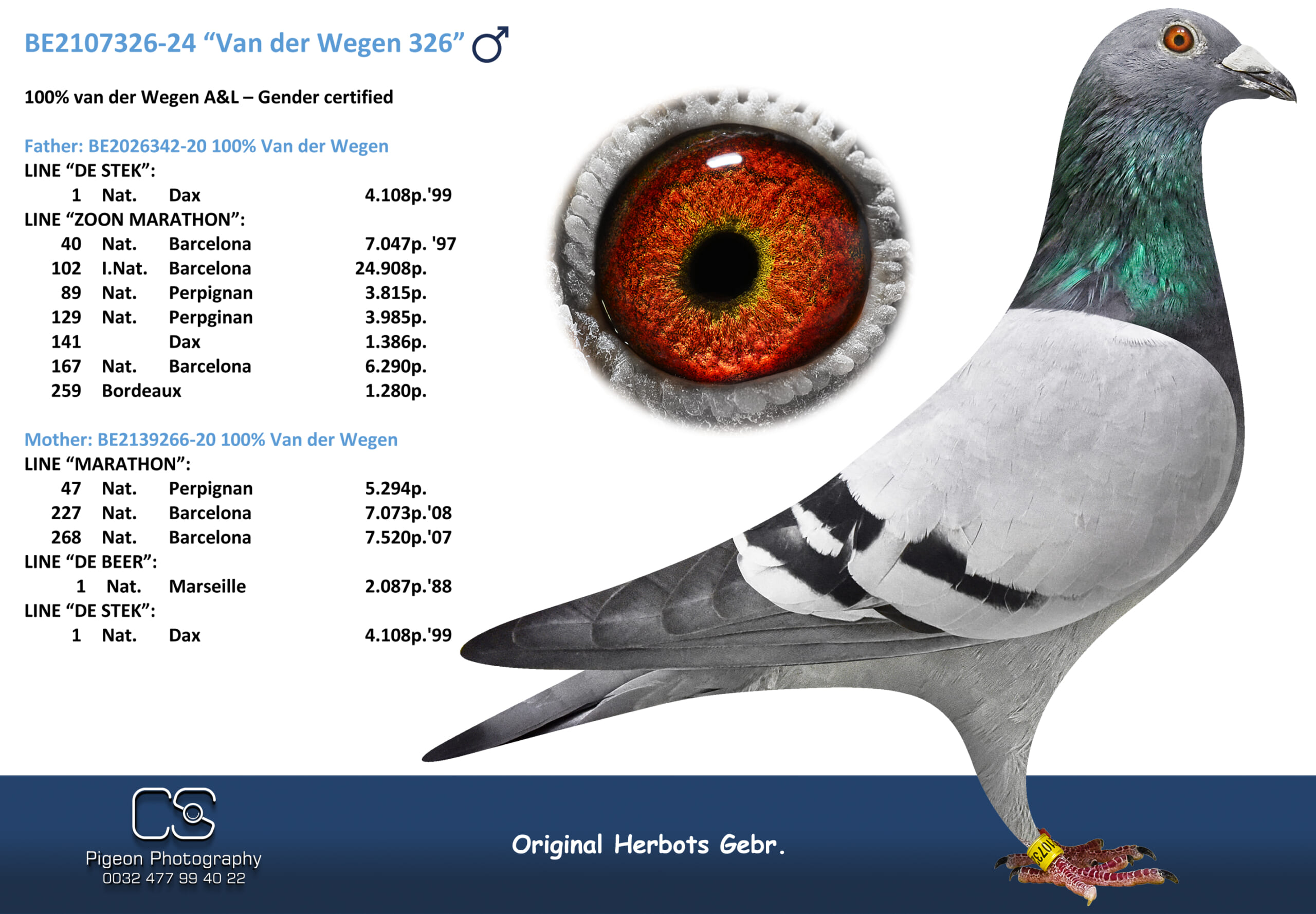 ファンデ・ウェーゲン 2107326-24