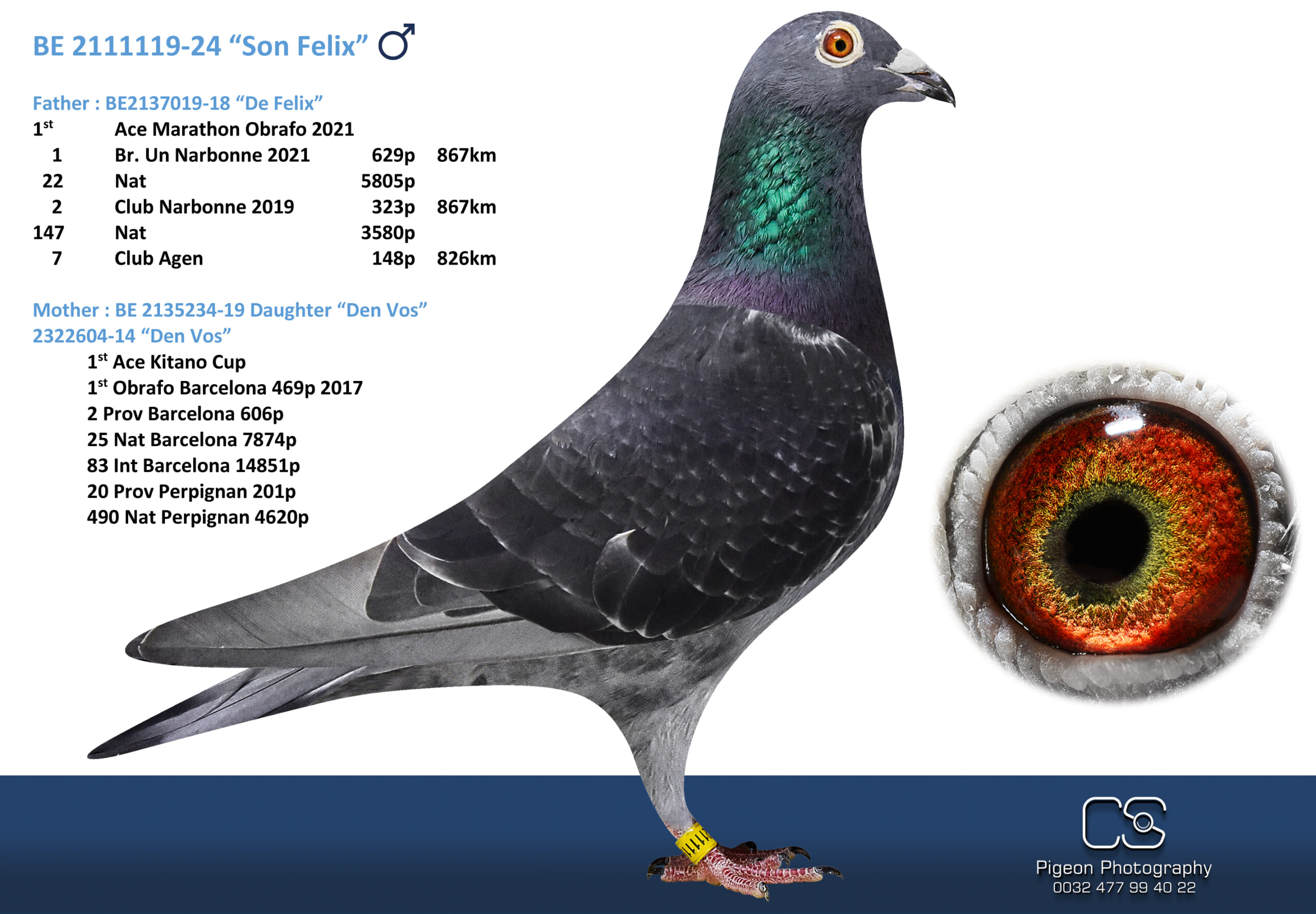 Oliviers Devos 2111119-24