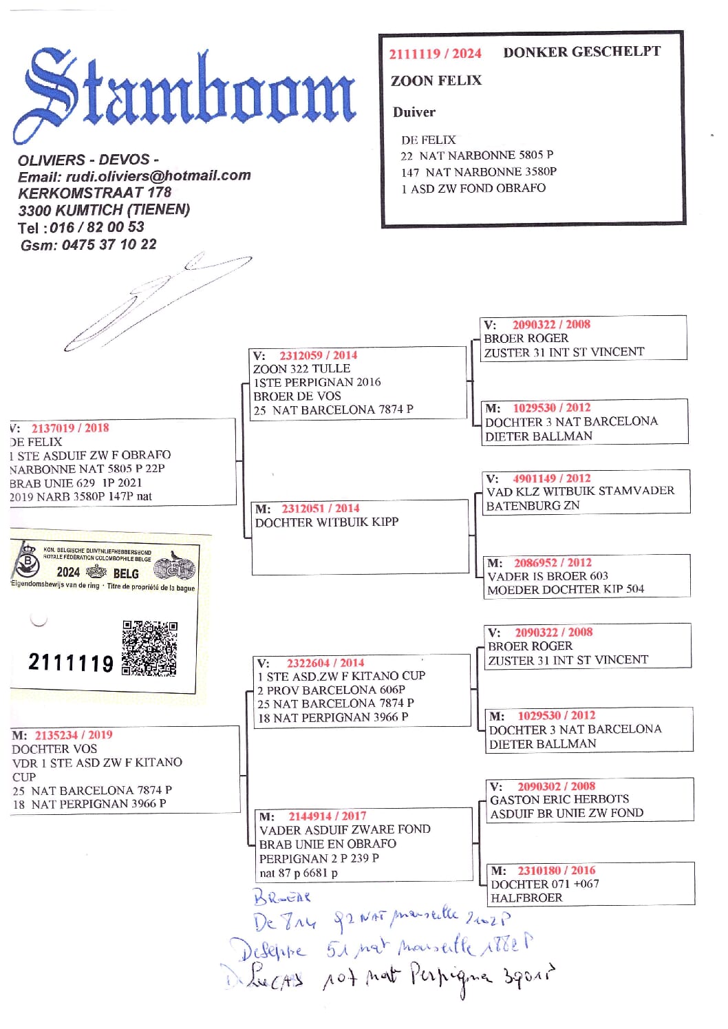 Oliviers Devos 2111119-24 - 画像 (2)