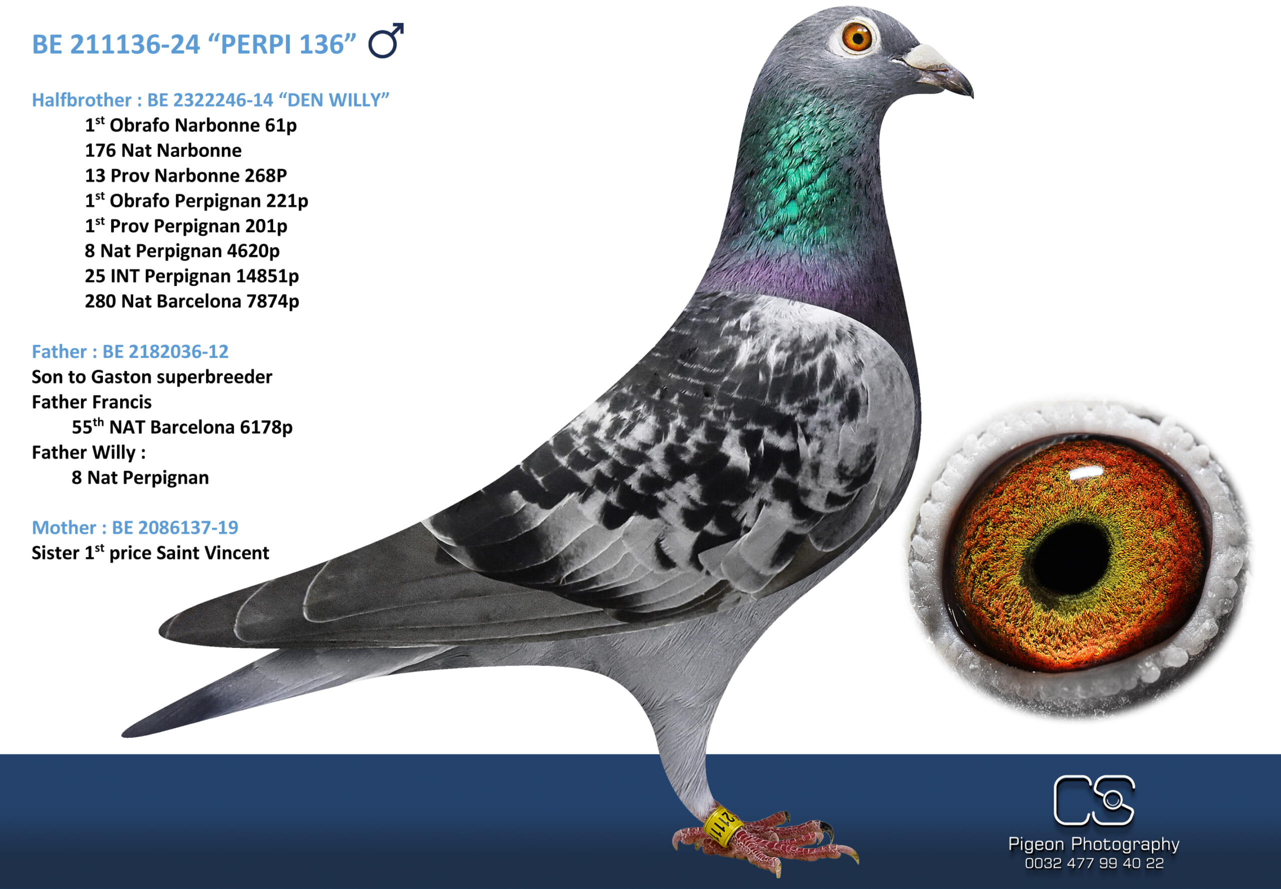 Oliviers Devos 2111136-24