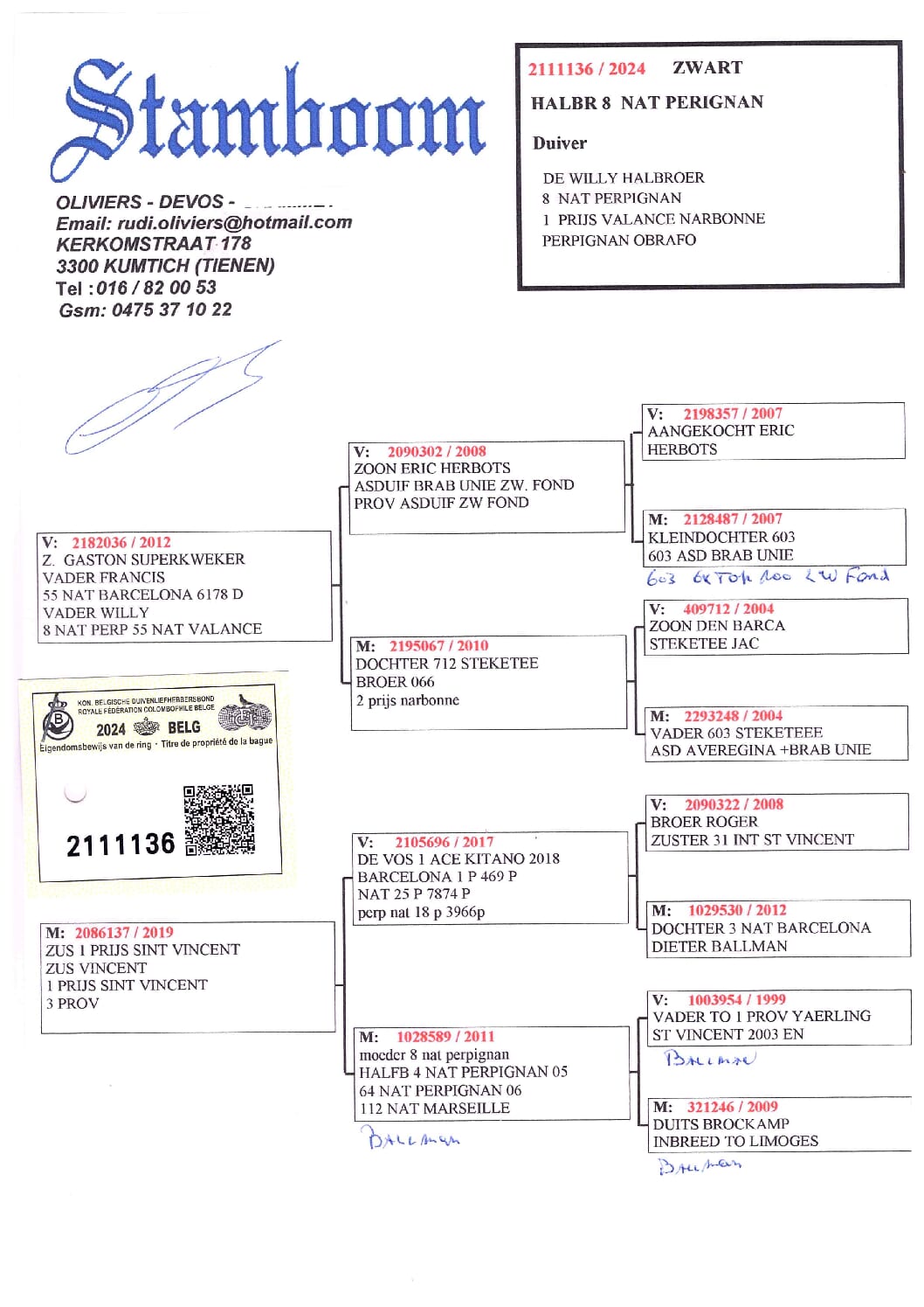 Oliviers Devos 2111136-24 - 画像 (2)