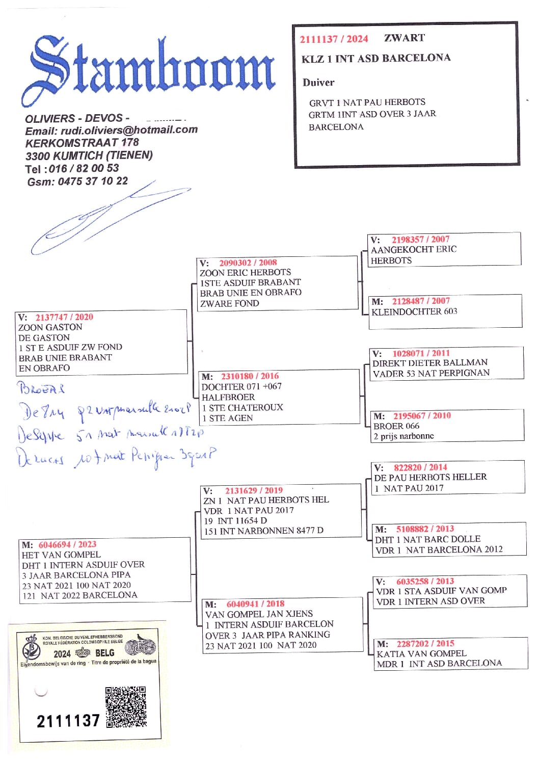 Oliviers Devos 2111137-24 - 画像 (2)