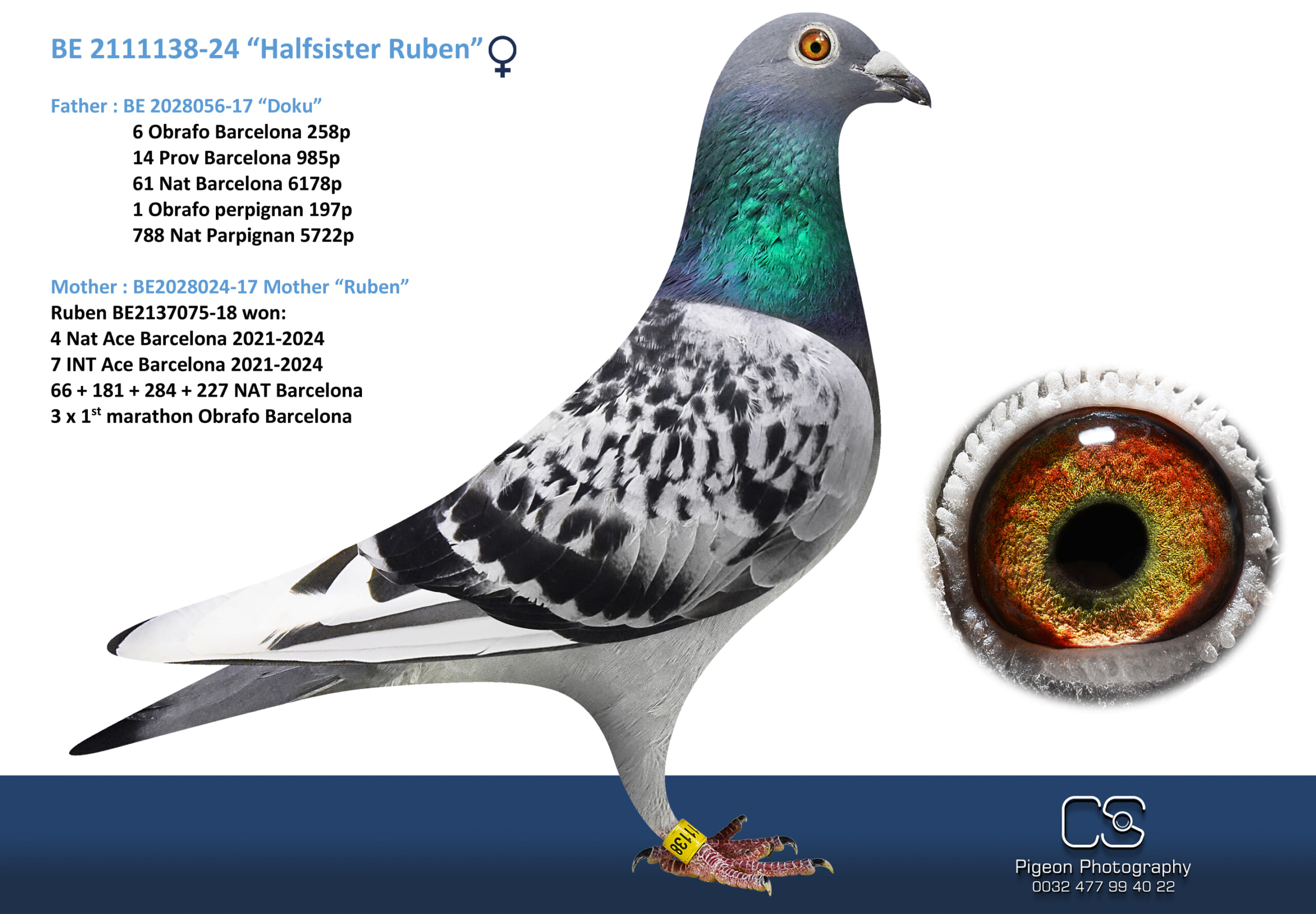 Oliviers Devos 2111138-24