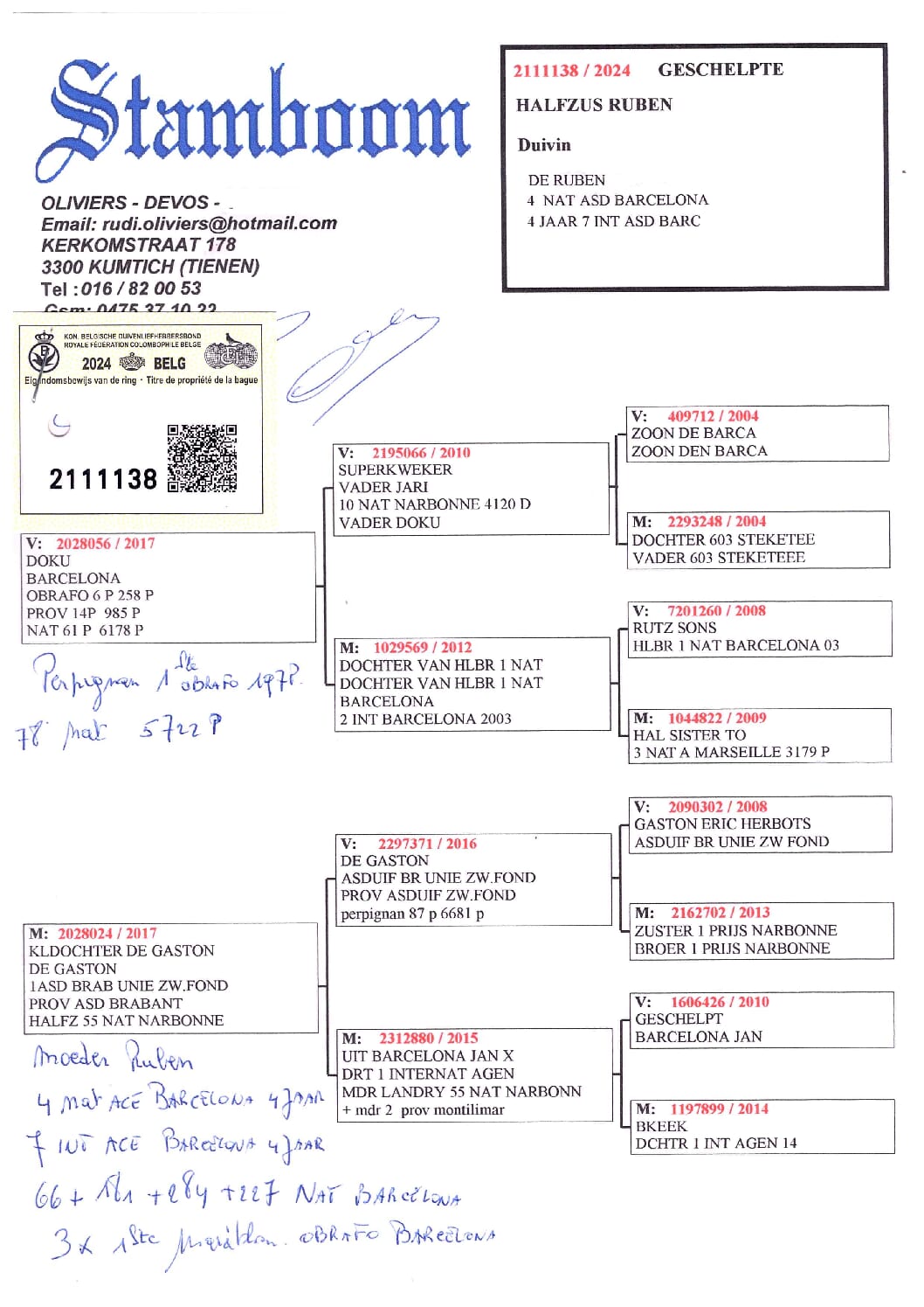 Oliviers Devos 2111138-24 - 画像 (2)