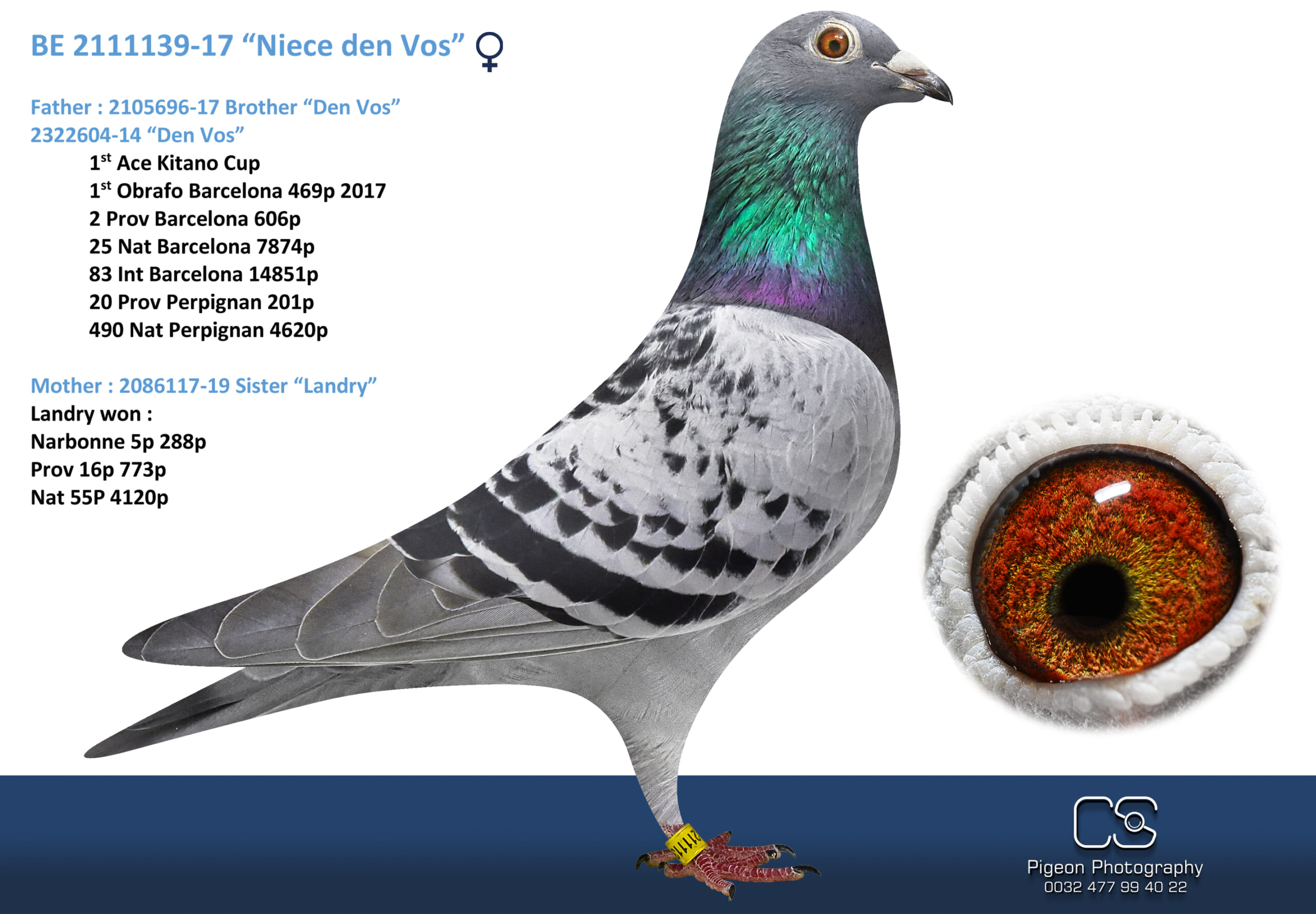 Oliviers Devos 2111139-24