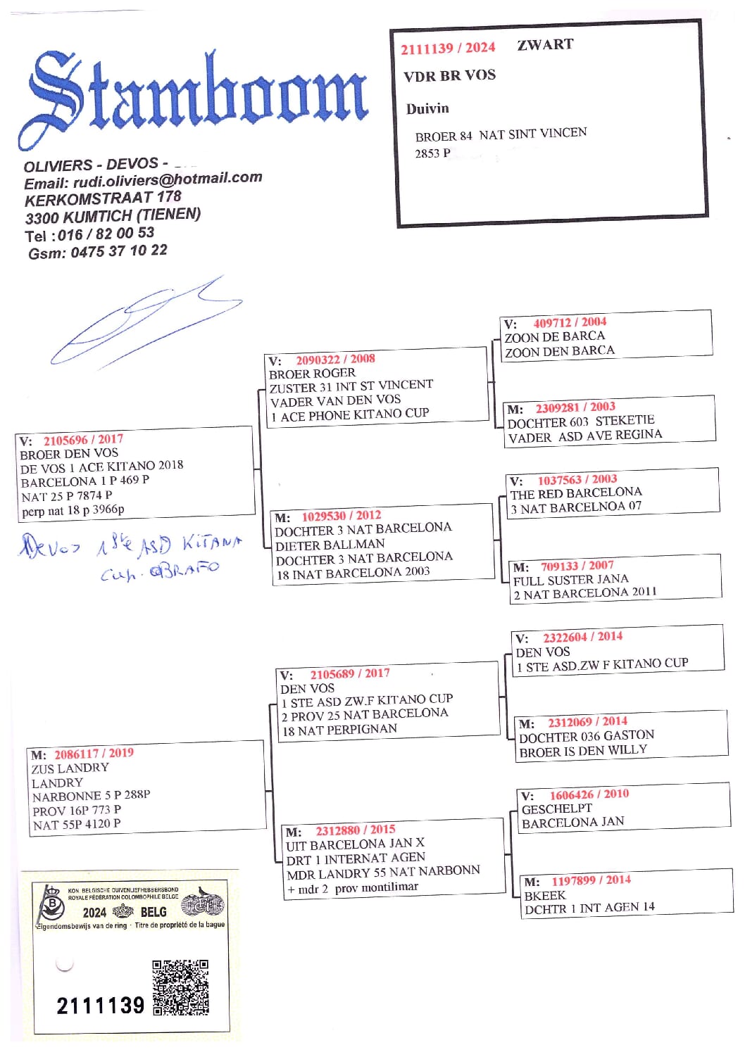 Oliviers Devos 2111139-24 - 画像 (2)