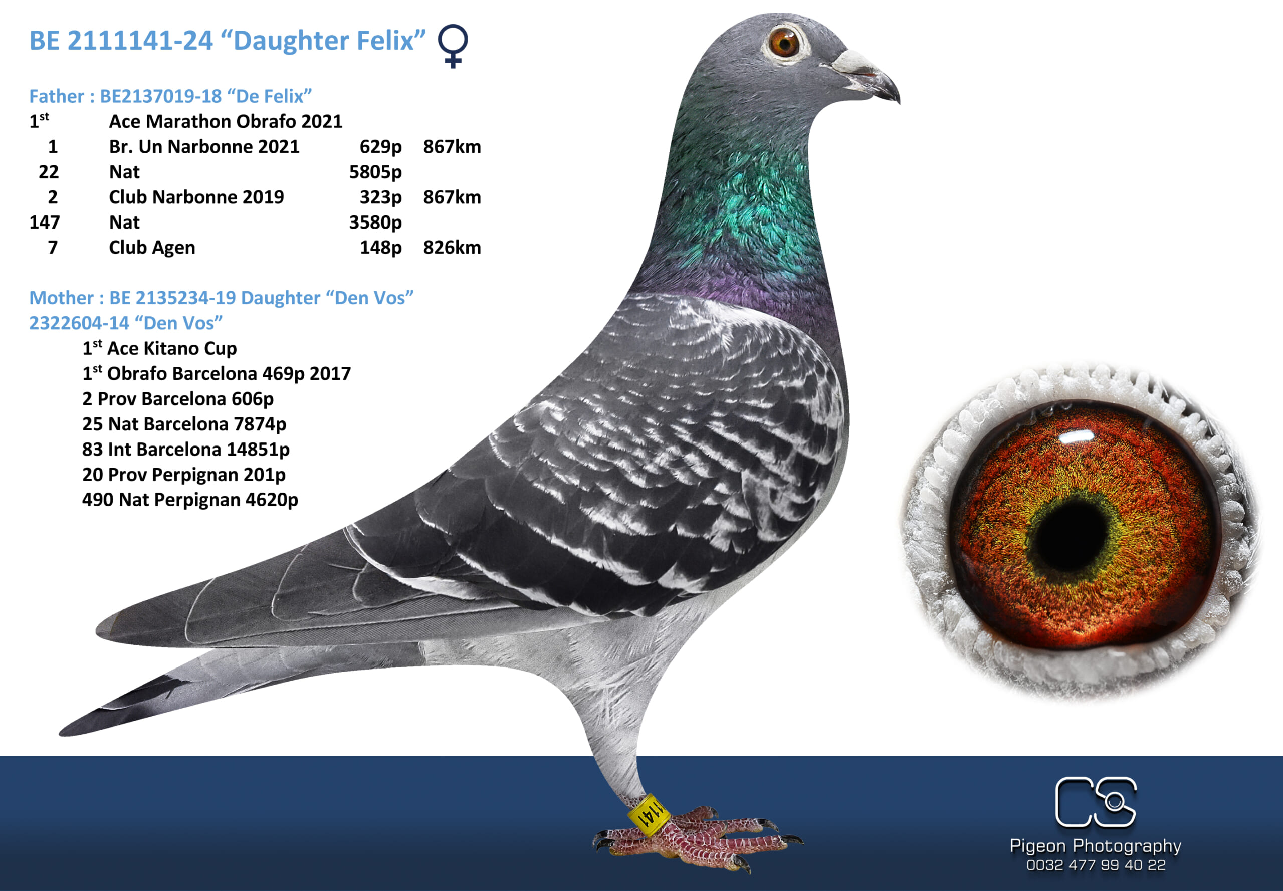 Oliviers Devos 2111141-24 売切れ