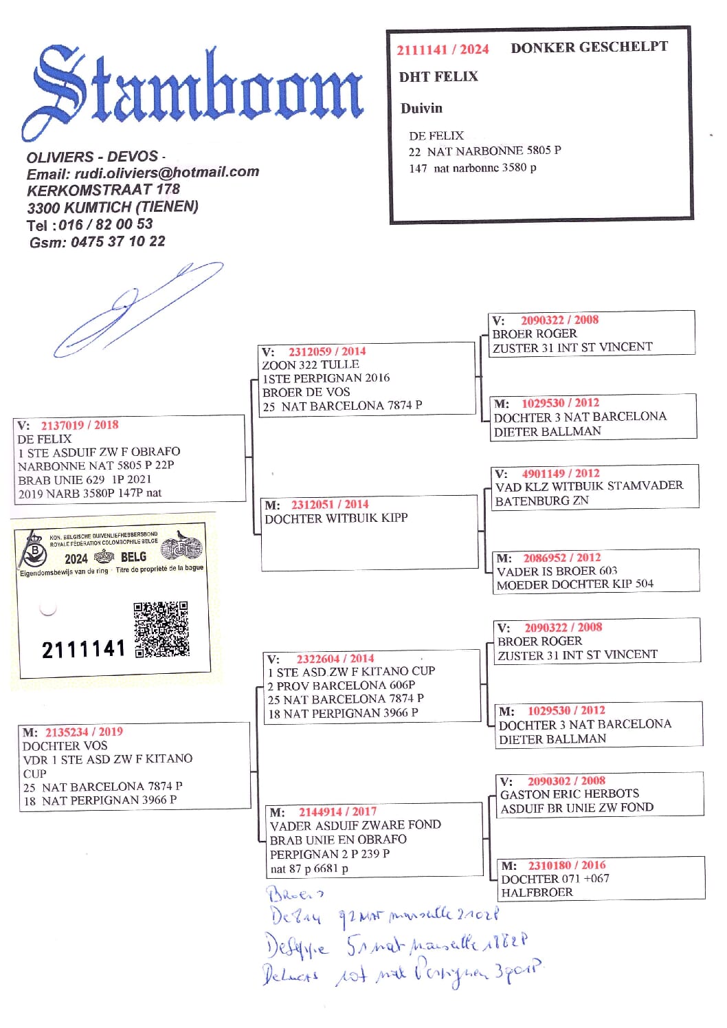 Oliviers Devos 2111141-24 売切れ - 画像 (2)