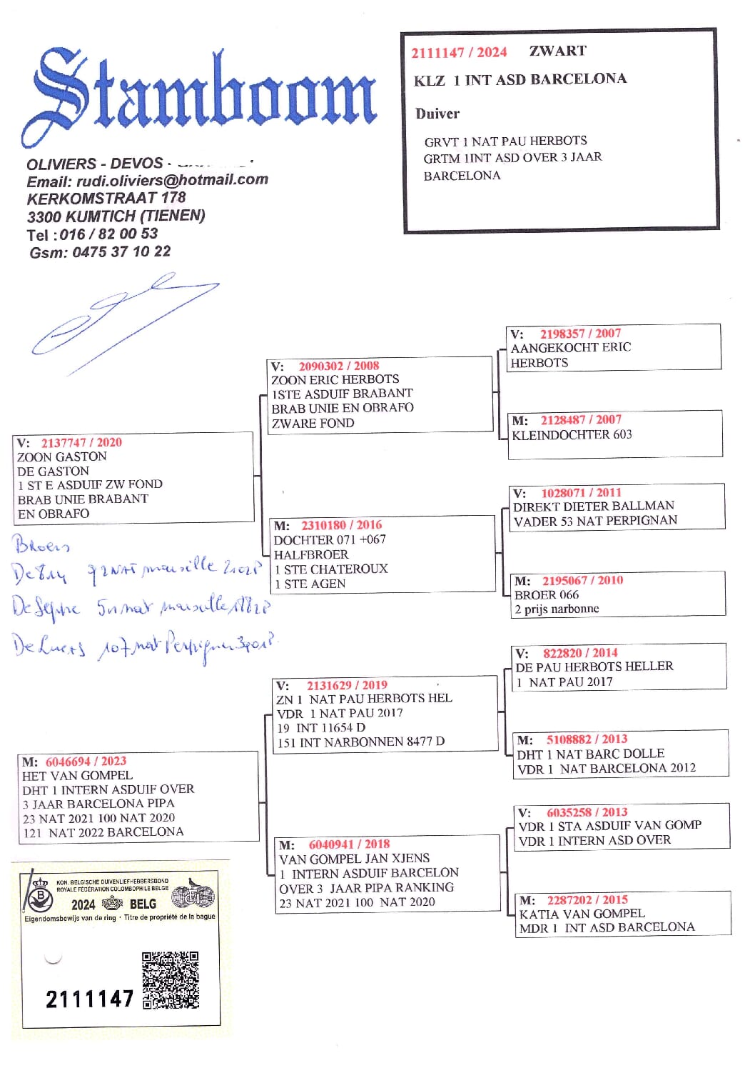 Oliviers Devos 2111147-24 - 画像 (2)