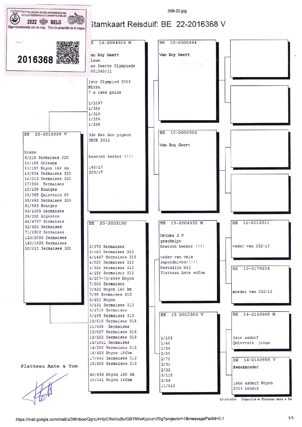 PLATTEAU Ante & Tom 2016368-22 - 画像 (2)