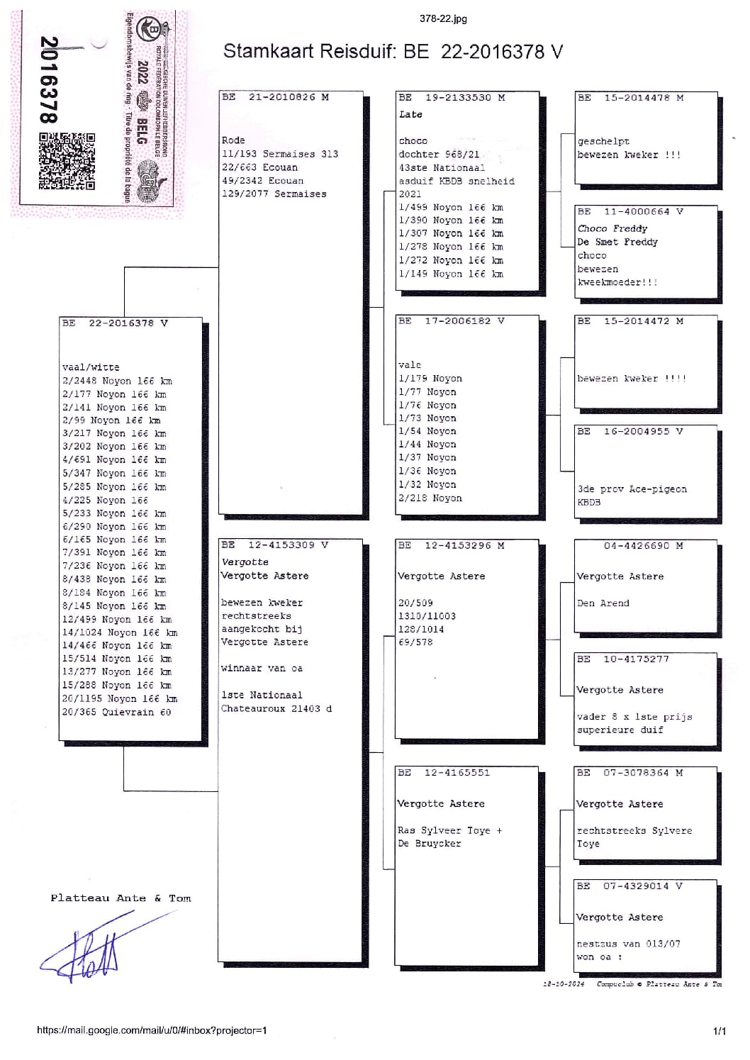 PLATTEAU Ante & Tom 2016378-22 売切れ - 画像 (2)