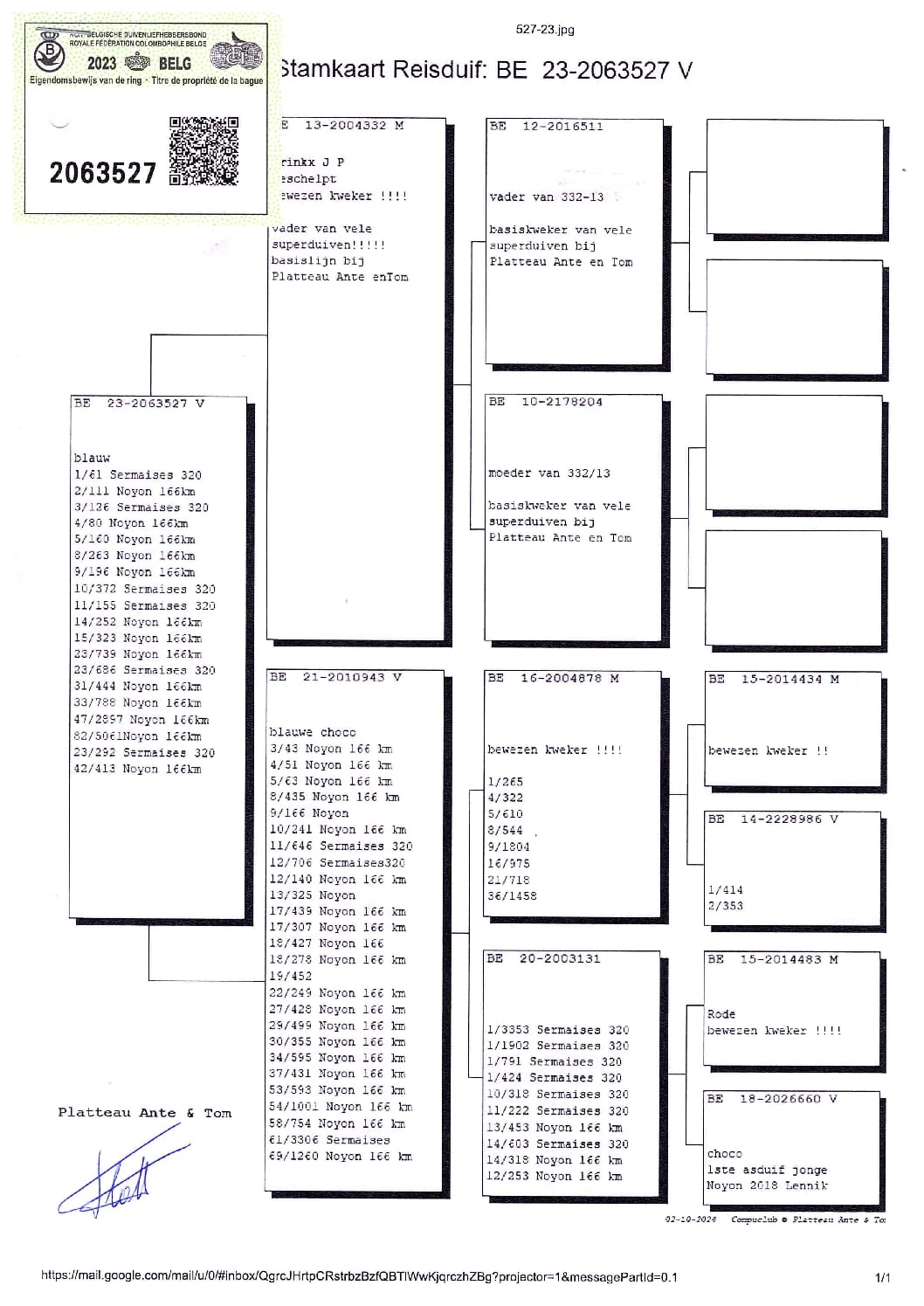 PLATTEAU Ante & Tom 2063527-23 - 画像 (2)