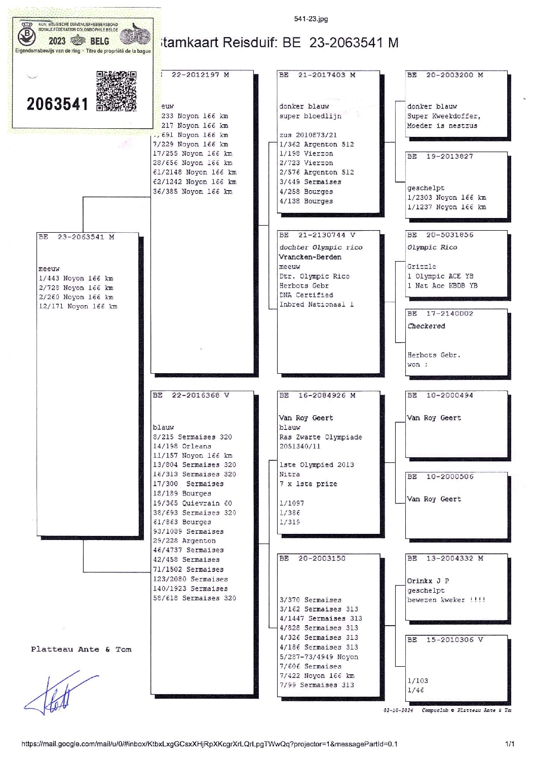 PLATTEAU Ante & Tom 2063541-23 売切れ - 画像 (2)