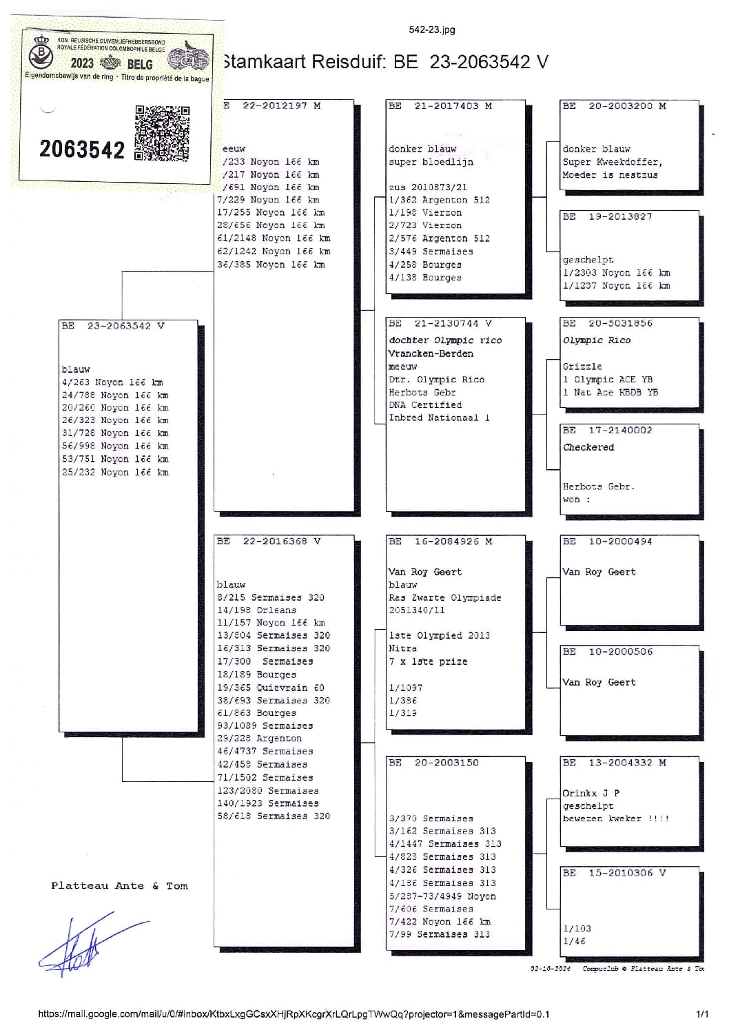 PLATTEAU Ante & Tom 2063542-23 - 画像 (2)
