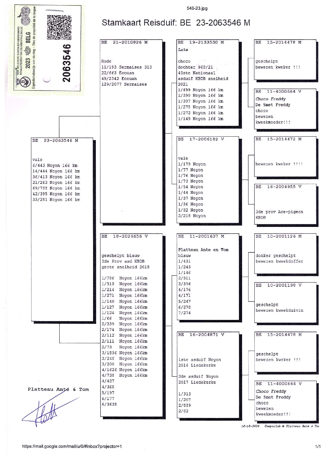 PLATTEAU Ante & Tom 2063546-23 - 画像 (2)