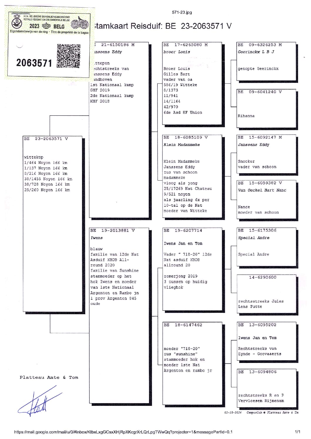 PLATTEAU Ante & Tom 2063571-23 売切れ - 画像 (2)