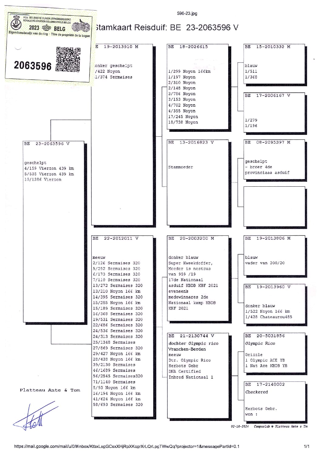 PLATTEAU Ante & Tom 2063596-23 - 画像 (2)