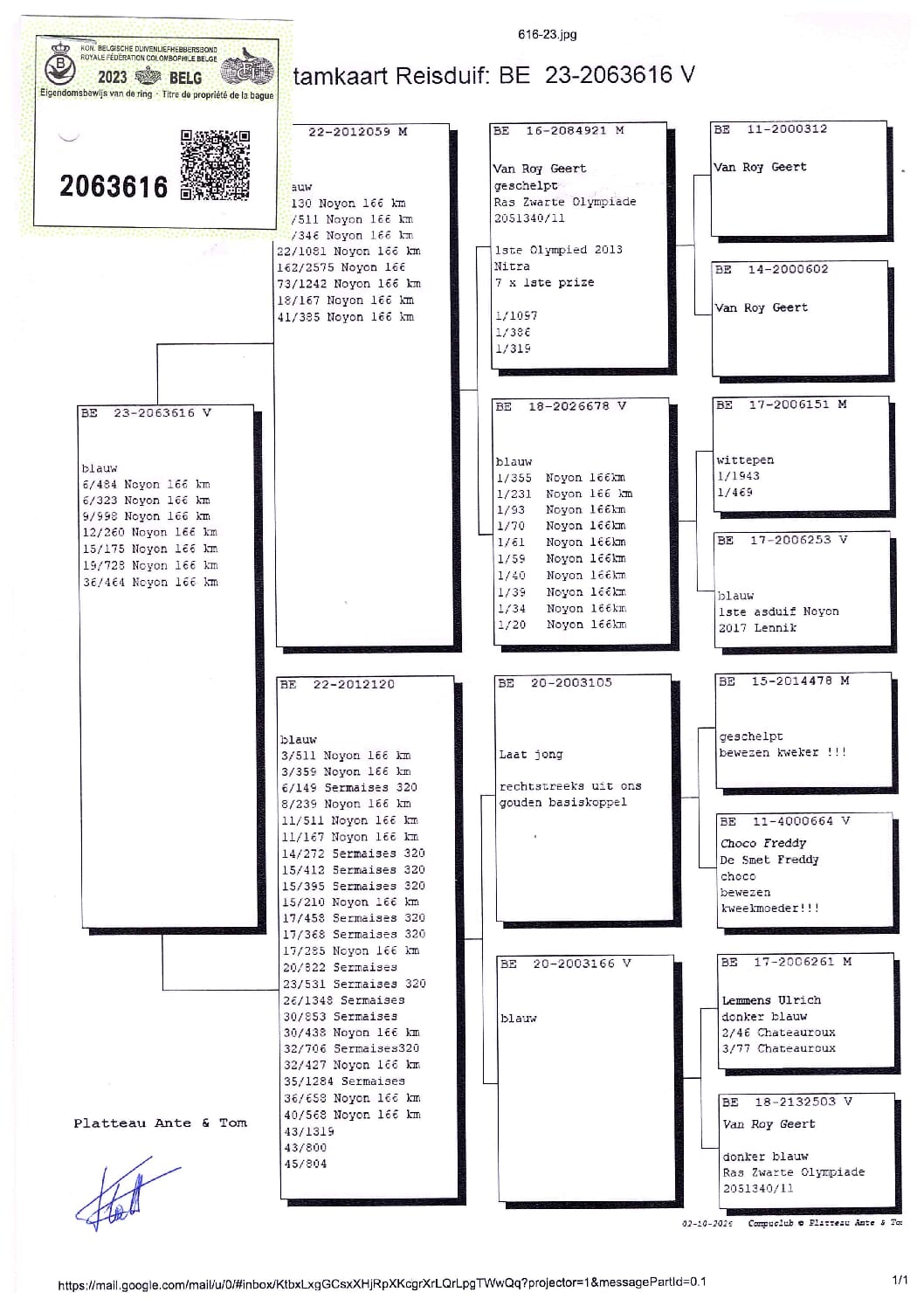 PLATTEAU Ante & Tom 2063616-23 - 画像 (2)
