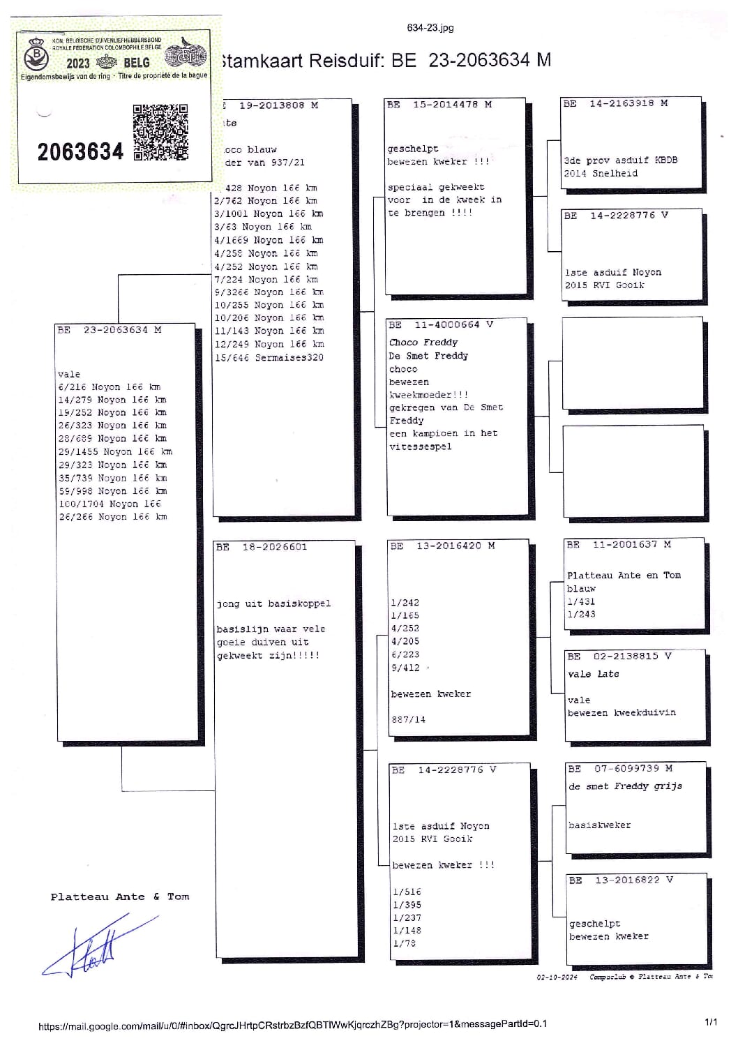 PLATTEAU Ante & Tom 2063634-23 - 画像 (3)