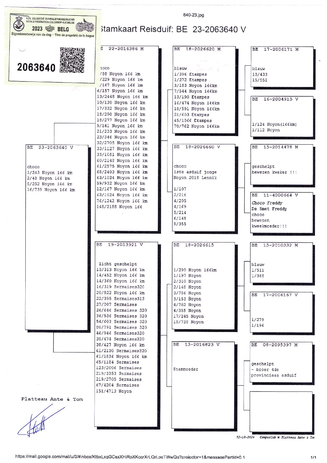 PLATTEAU Ante & Tom 2063640-23 売切れ - 画像 (3)
