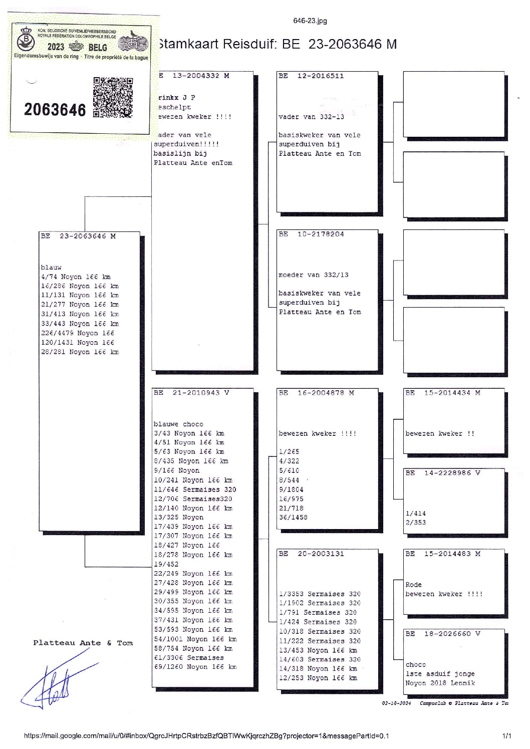 PLATTEAU Ante & Tom 2063646-23 - 画像 (2)