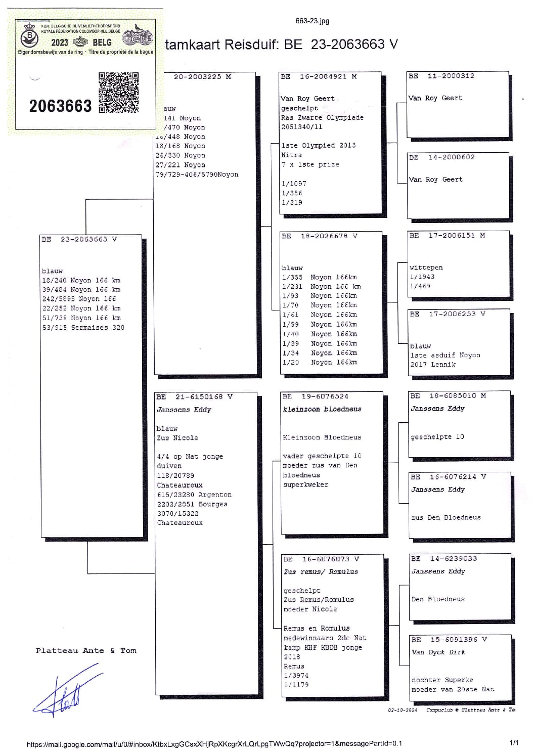 PLATTEAU Ante & Tom 2063663-23 - 画像 (2)
