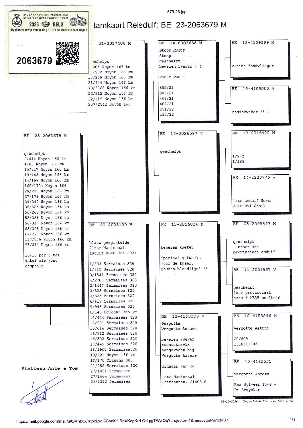PLATTEAU Ante & Tom 2063679-23 - 画像 (2)