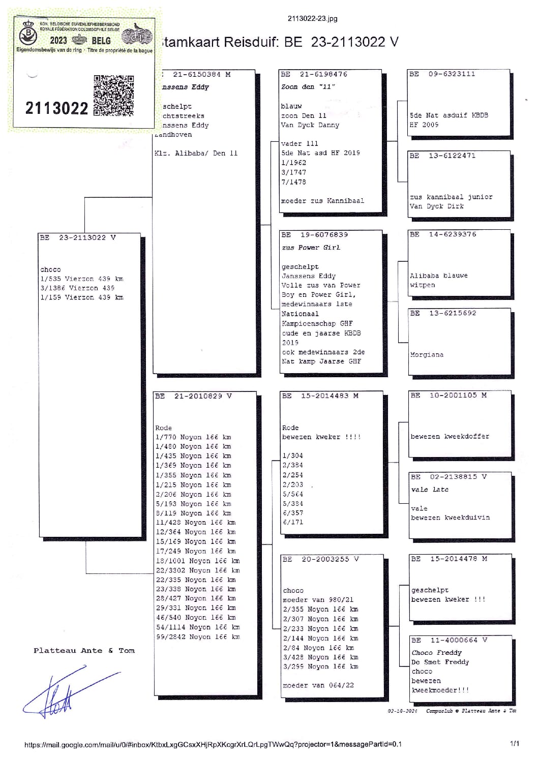 PLATTEAU Ante & Tom 2113022-23 売切れ - 画像 (2)