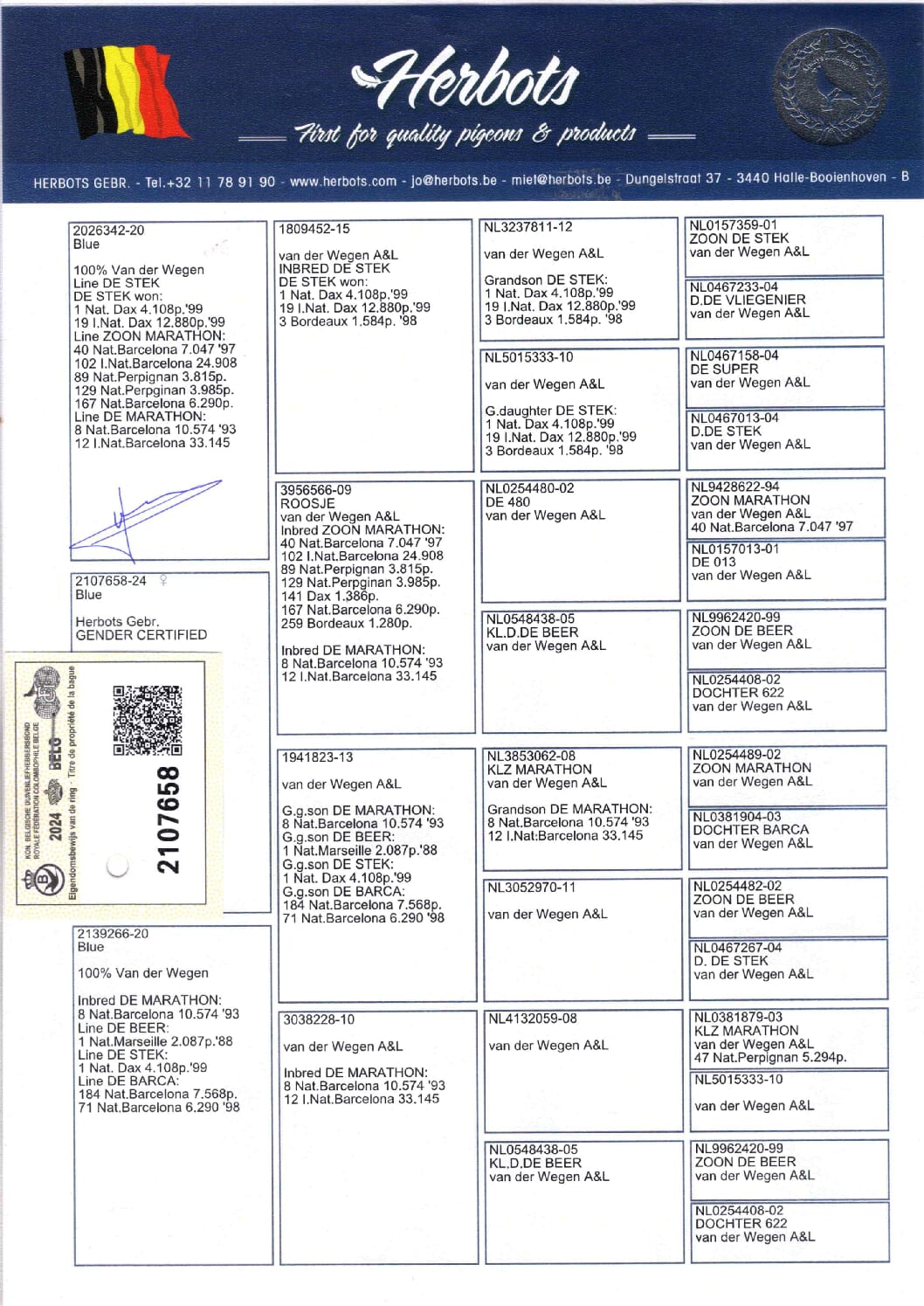 ファンデ・ウェーゲン 2107658-24 - 画像 (2)