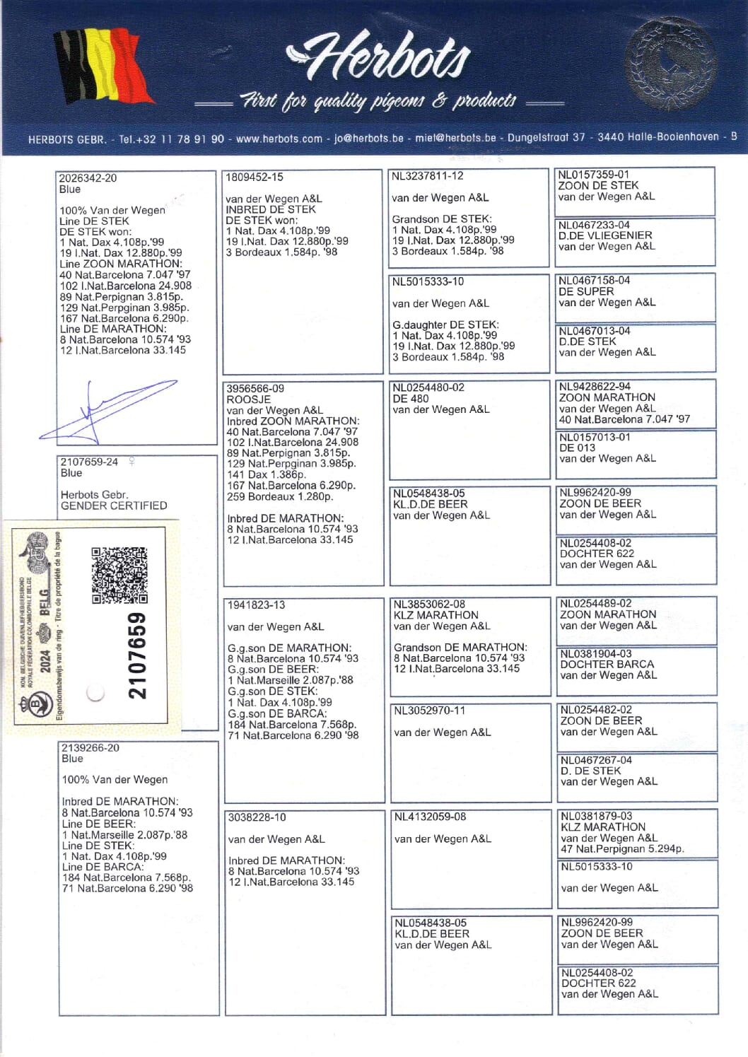 ファンデ・ウェーゲン 2107659-24 - 画像 (2)