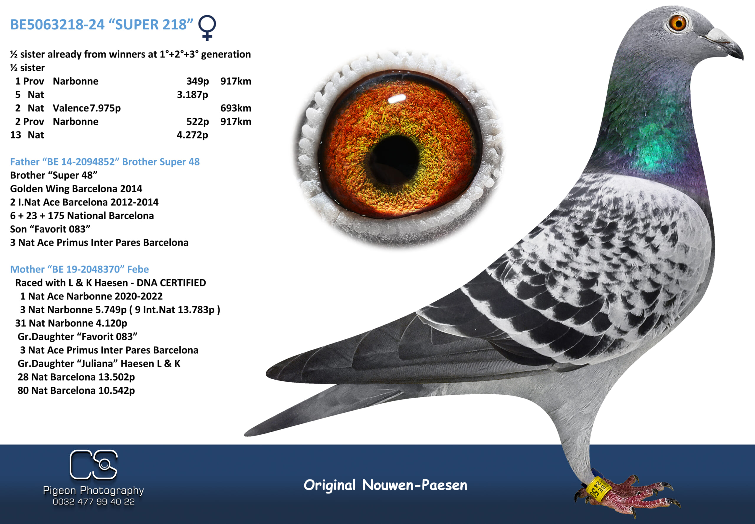 Nouwen Paesen 5063218-24