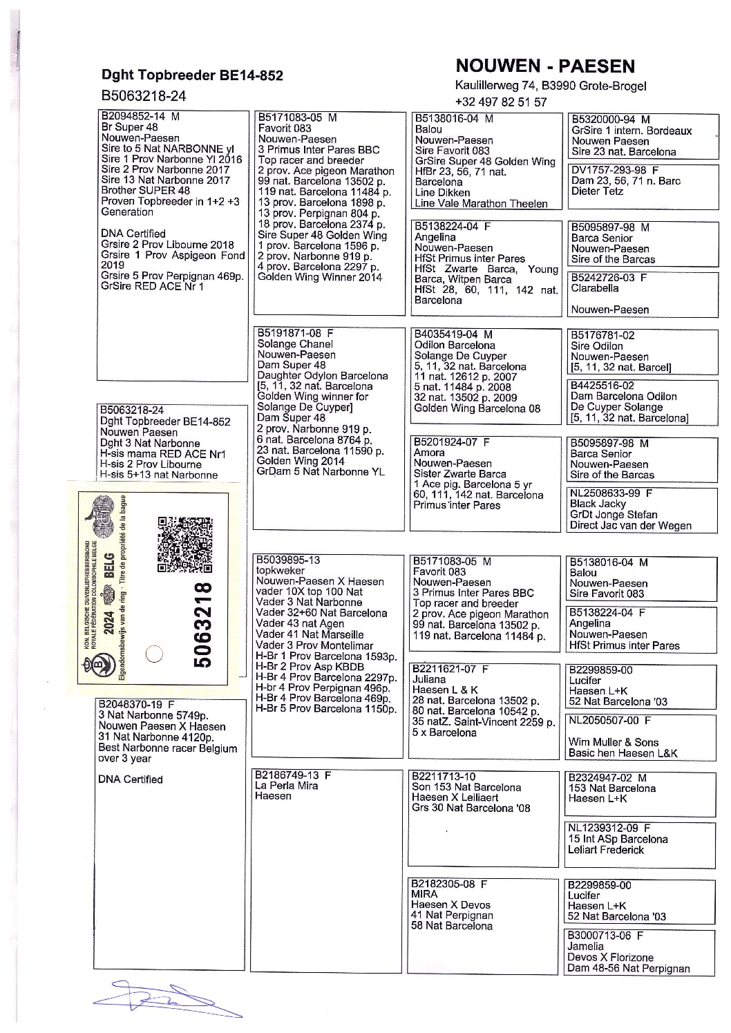 Nouwen Paesen 5063218-24 - 画像 (2)